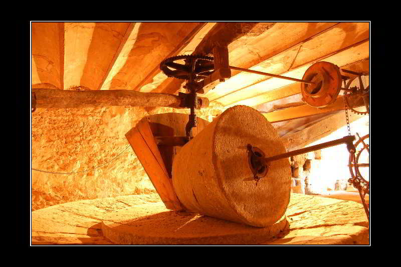 Finca Hotel Son Pont by null