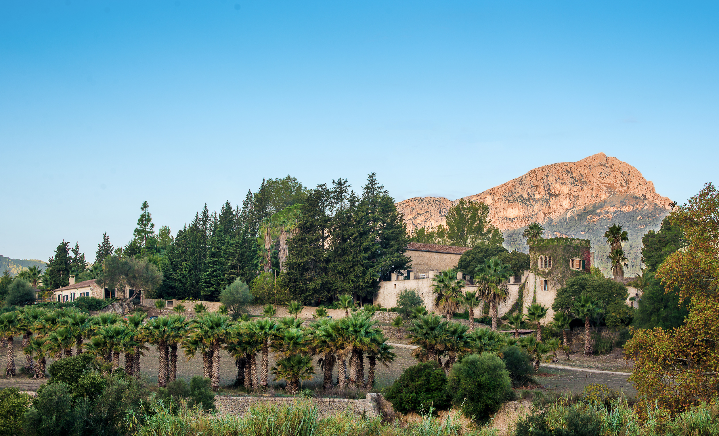 Finca Hotel Son Pont by null