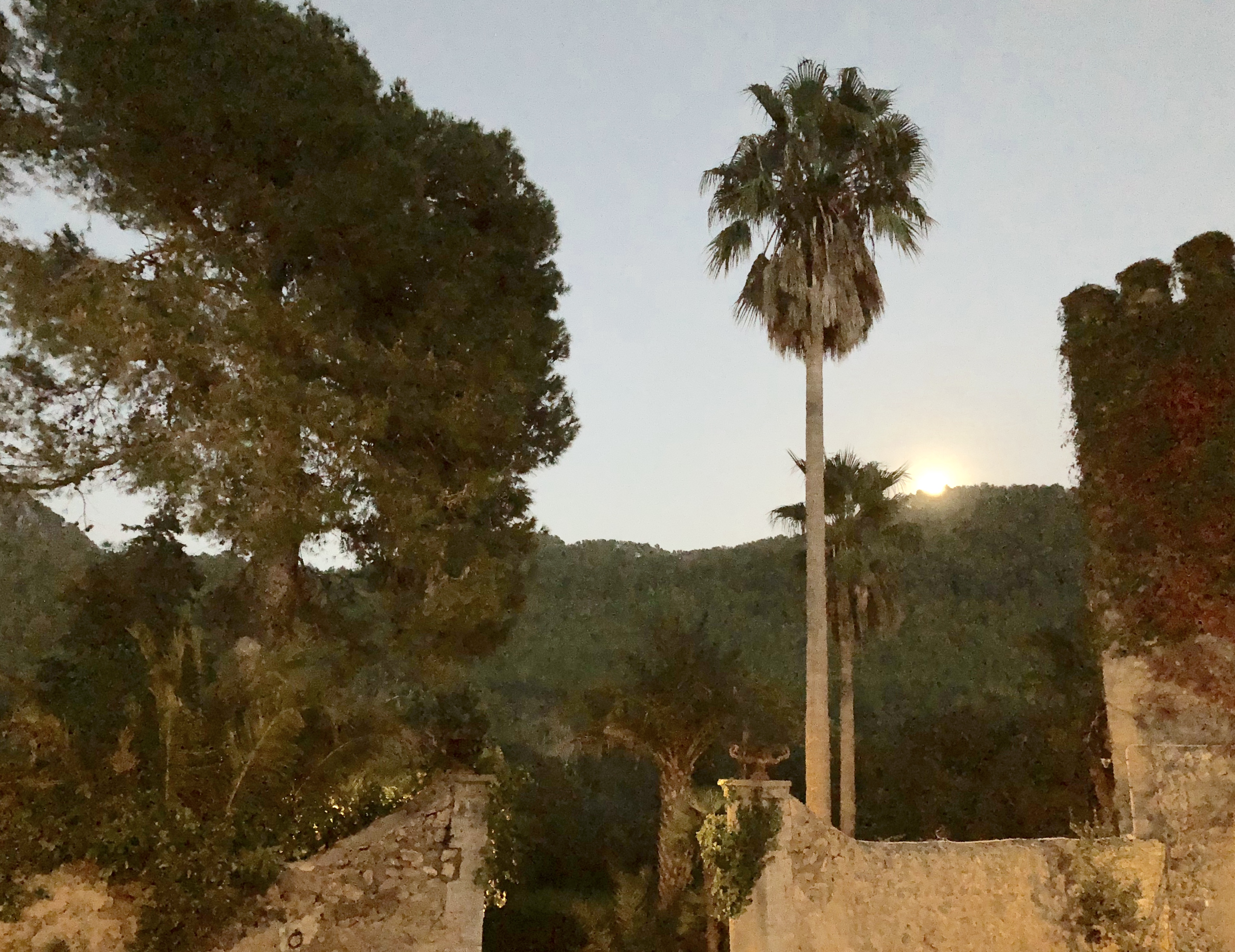 Finca Hotel Son Pont by null