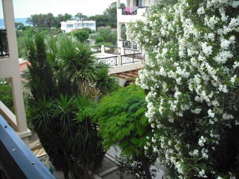 Summer Memories Aparthotel - photo