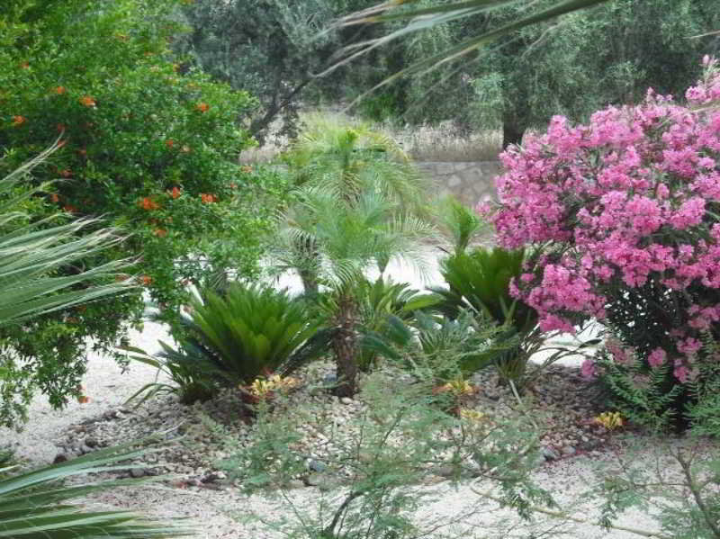 Summer Memories Aparthotel - photo