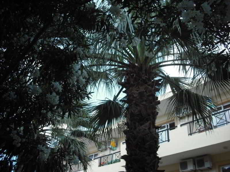 Summer Memories Aparthotel - photo