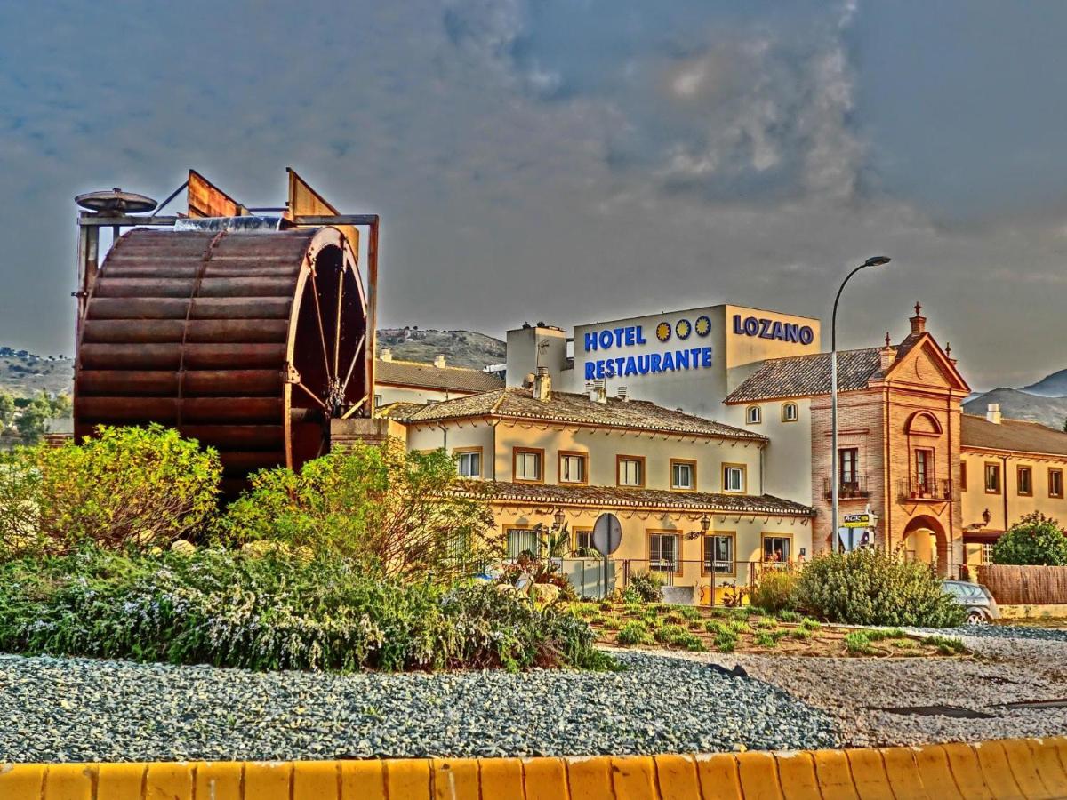 Hotel Lozano by null
