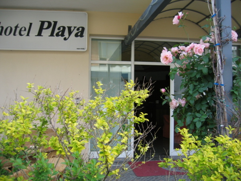 Hotel Playa - photo