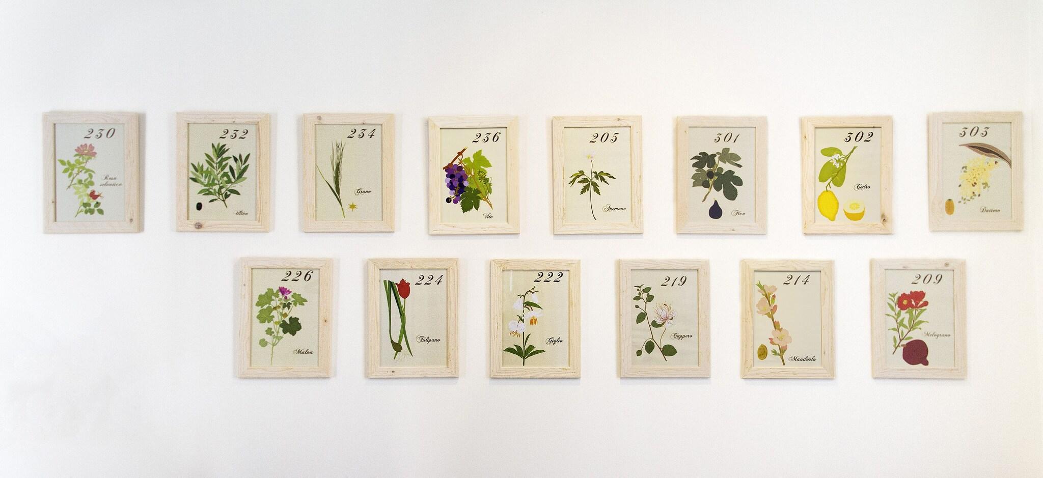 Kosher House Giardino Dei Melograni - photo