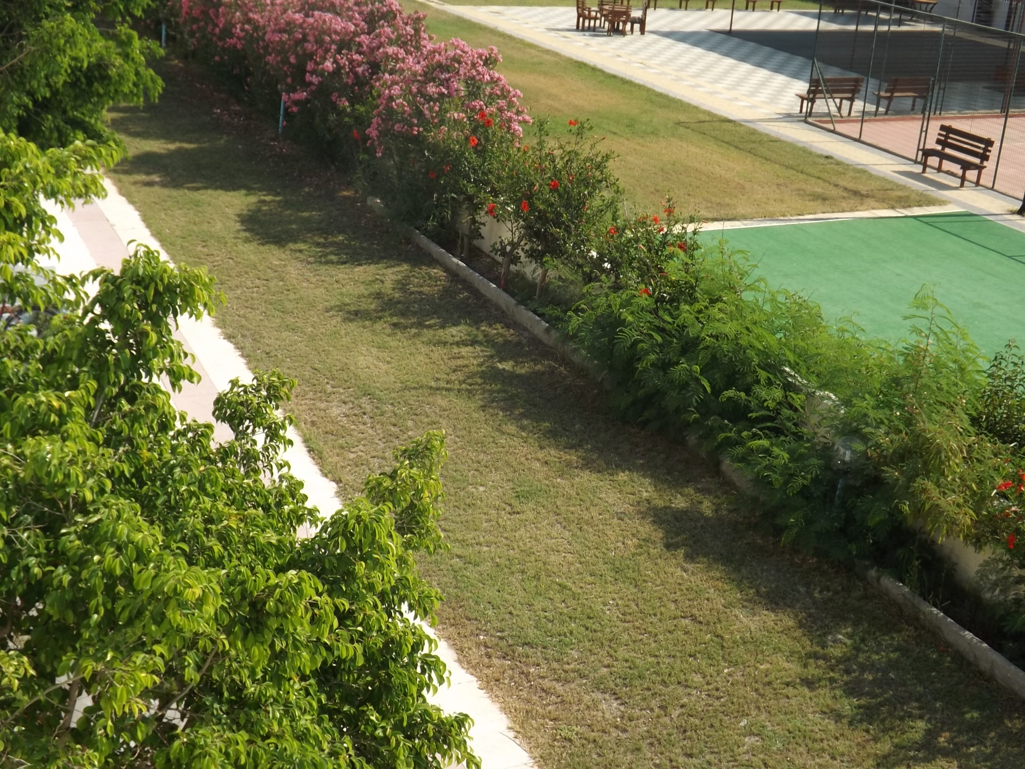 Leonidas Hotel And Studios - фото