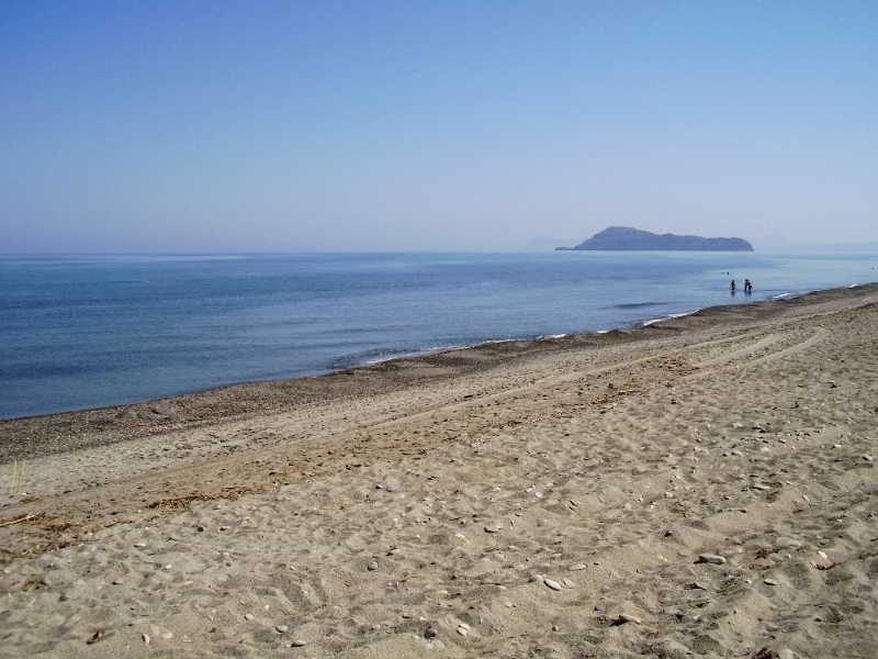 Summer Lodge