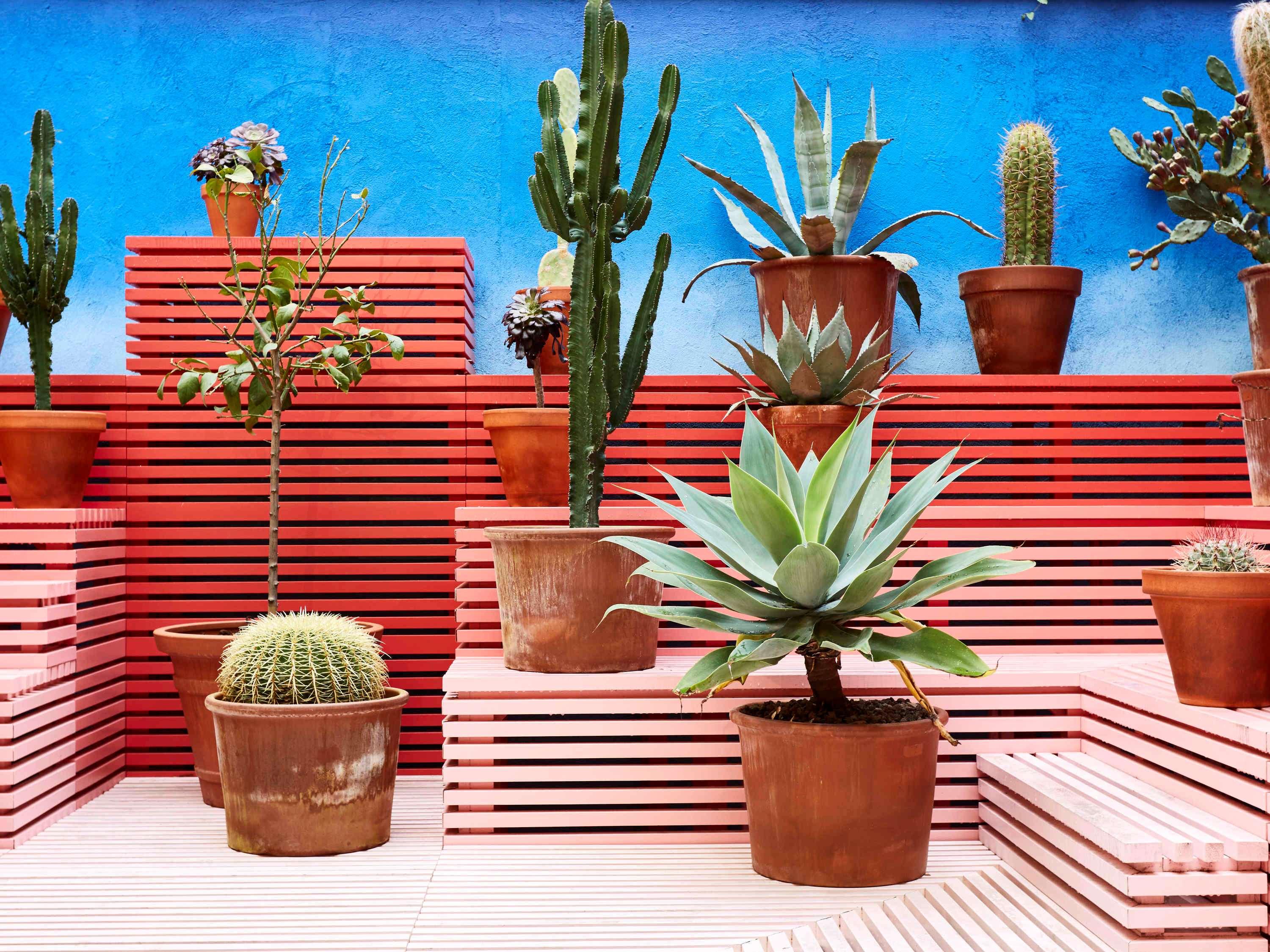 Mama Shelter Marseille by null