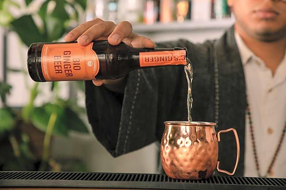 Lulu Guldsmeden Hotel by null