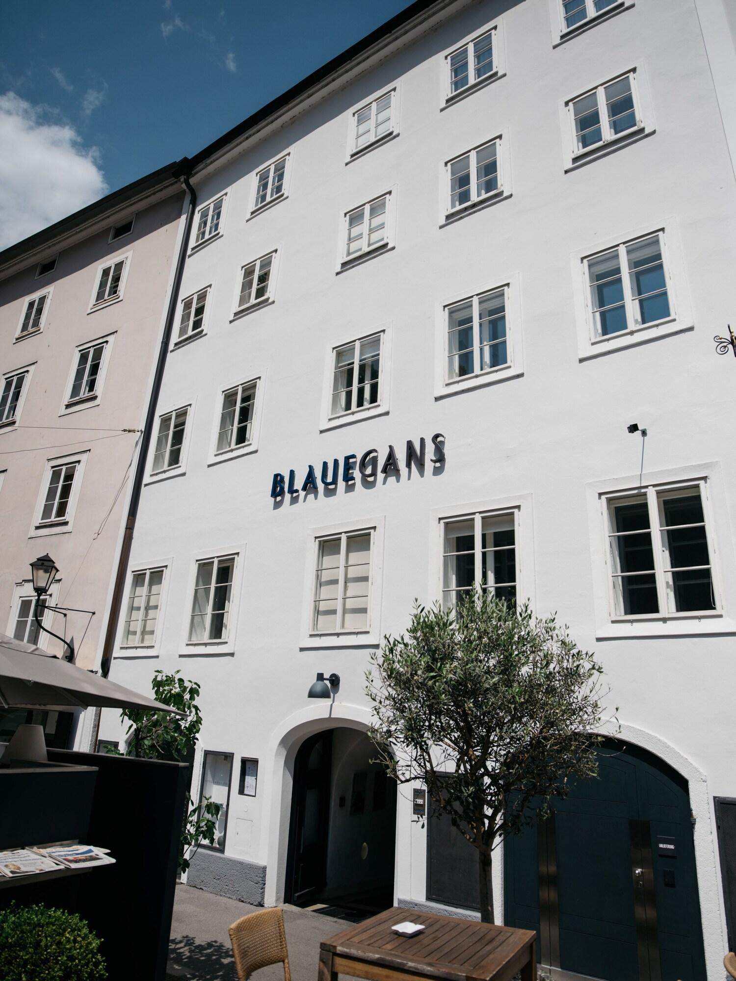 Restaurant Blaue Gans Salzburg Gasthaus by null