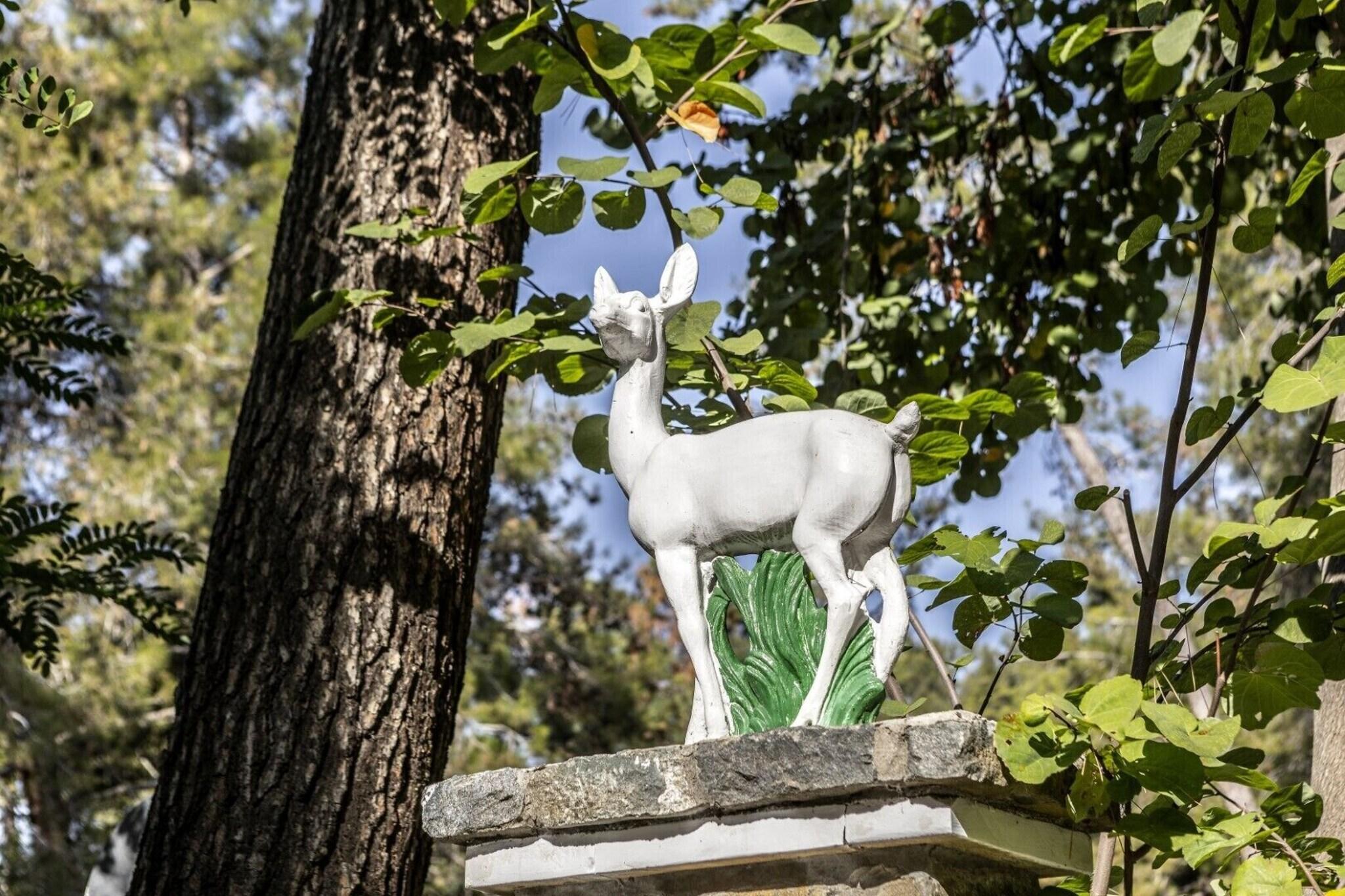 The Forest Park Hotel by null