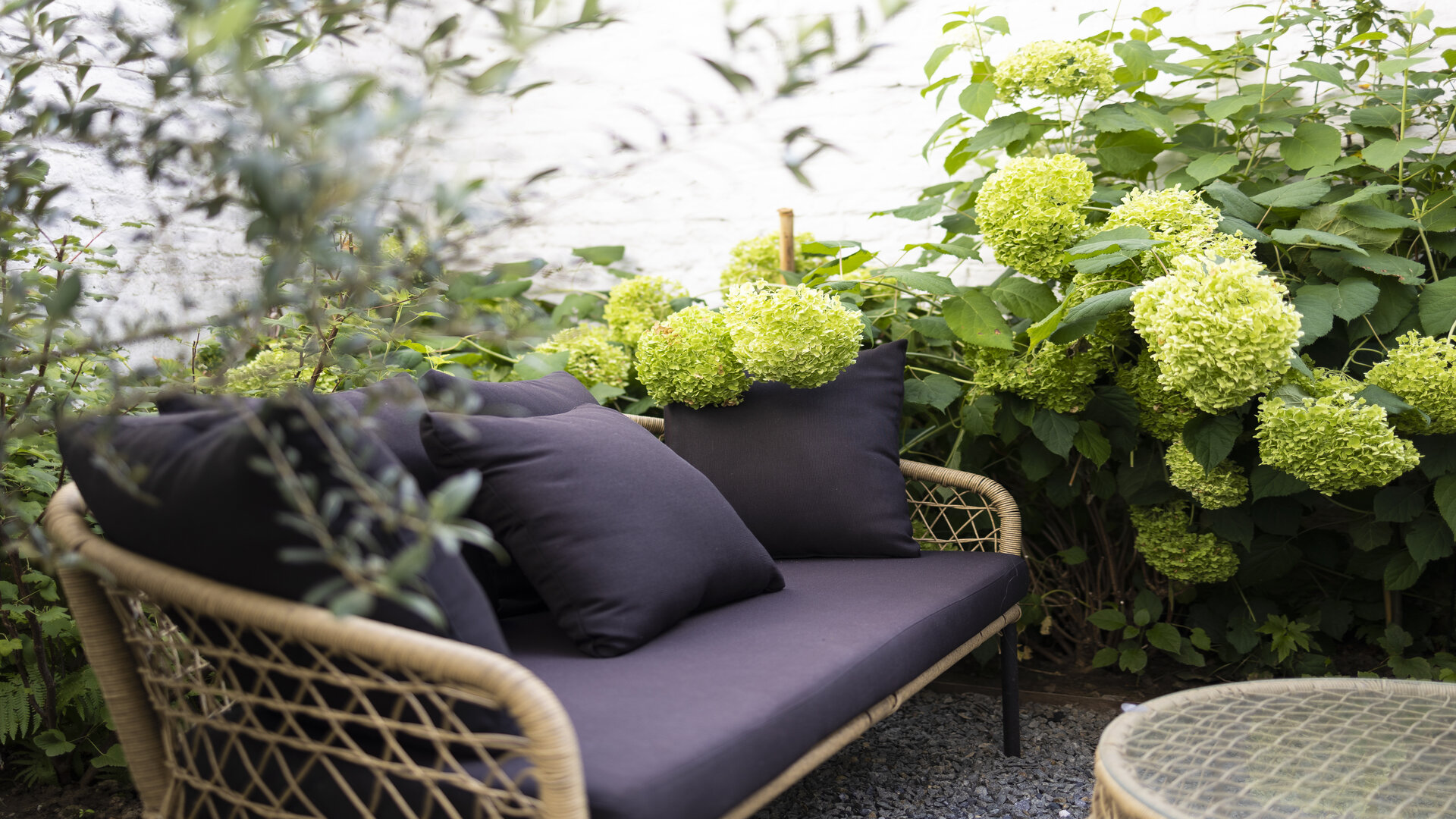 Beverly Hills by null