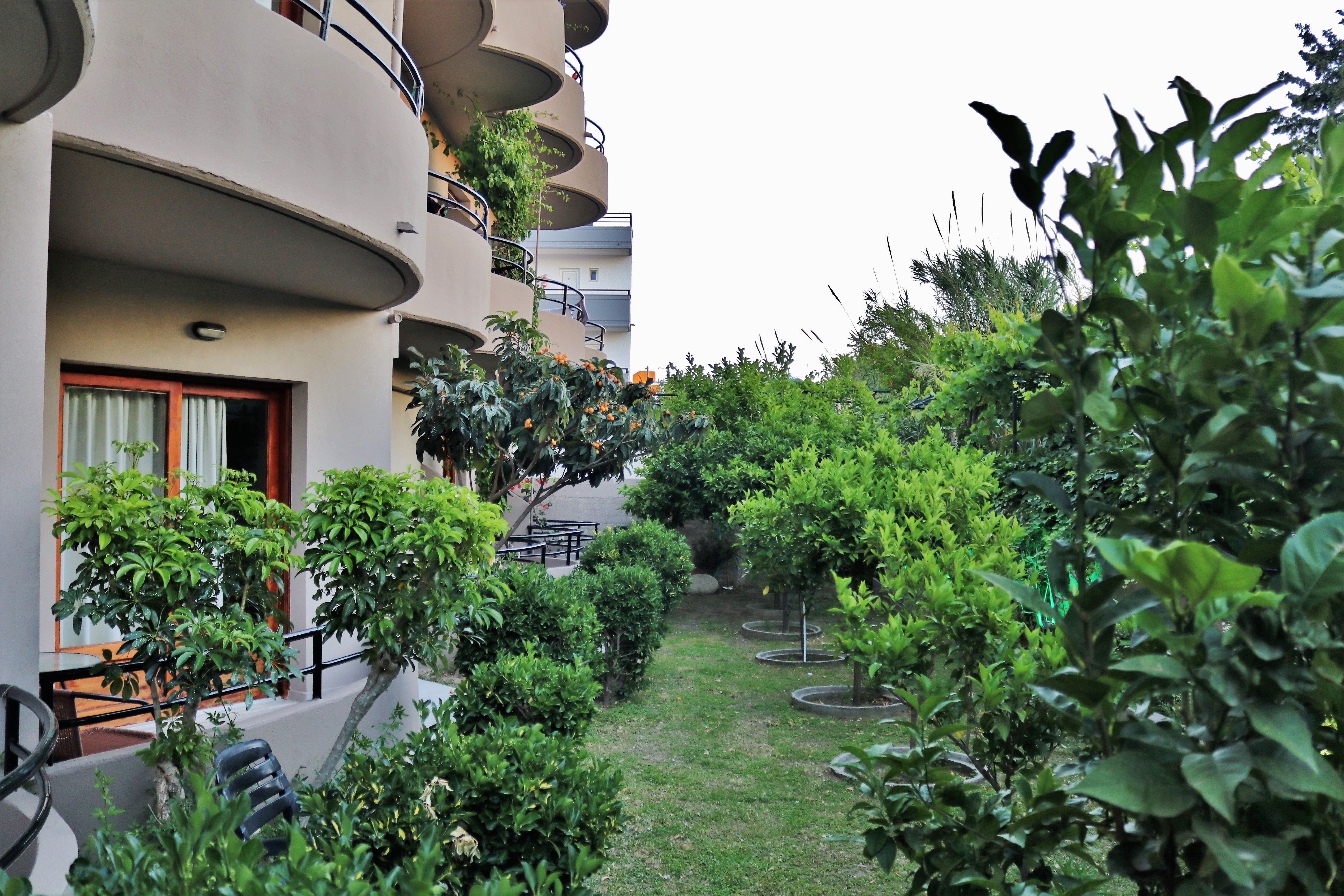 Johnmary Studios - фото