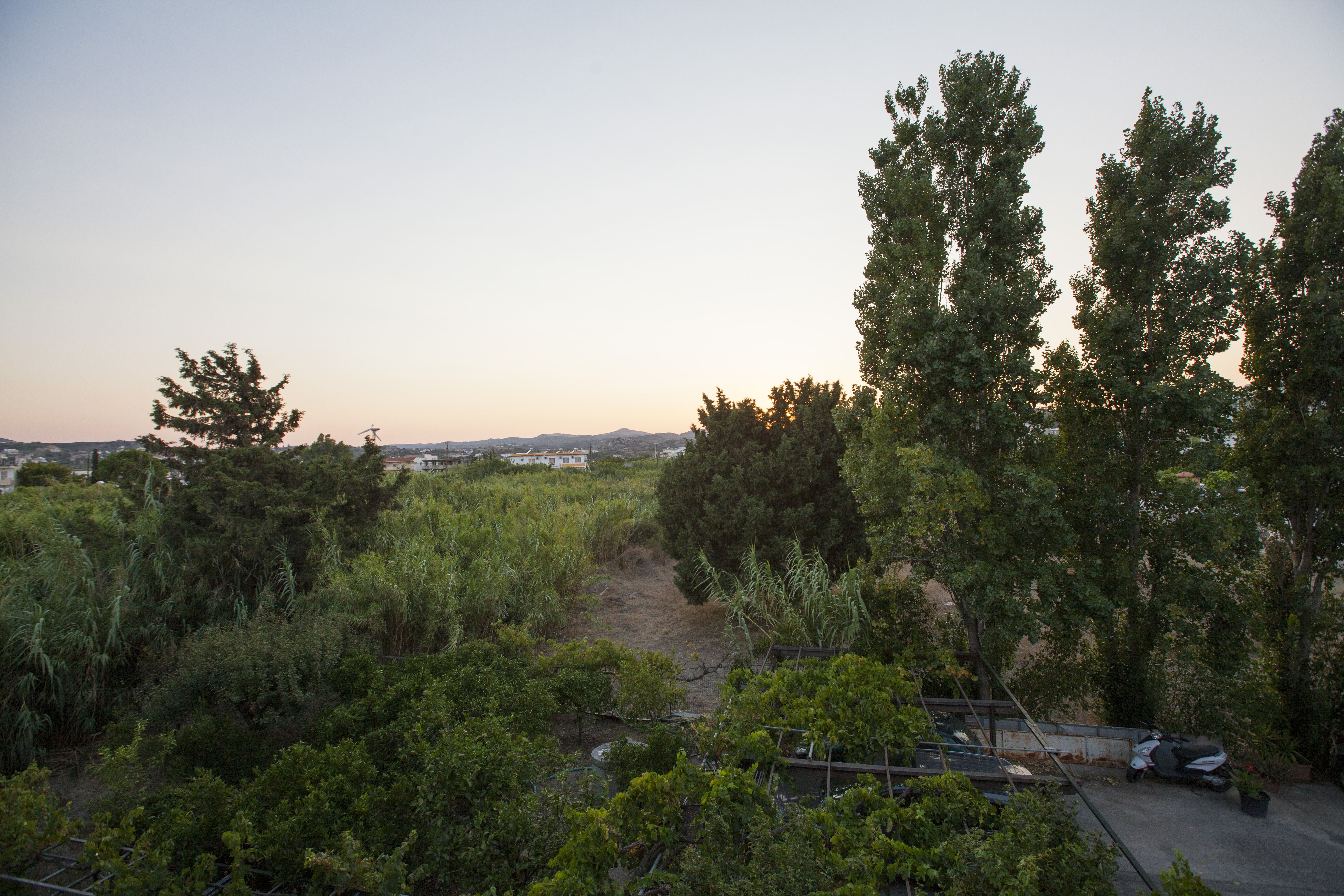 Johnmary Studios - фото