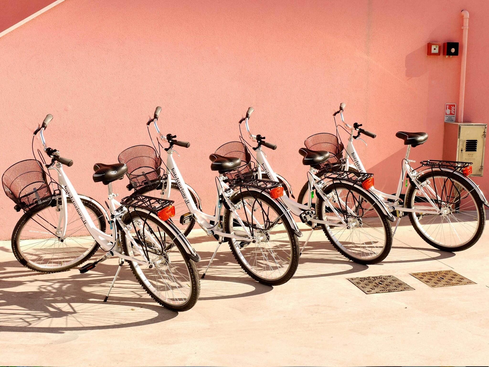 Hotel Storione - nuotrauka