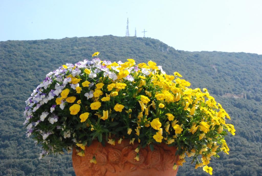 Palazzo Leti Residenza d'Epoca by null