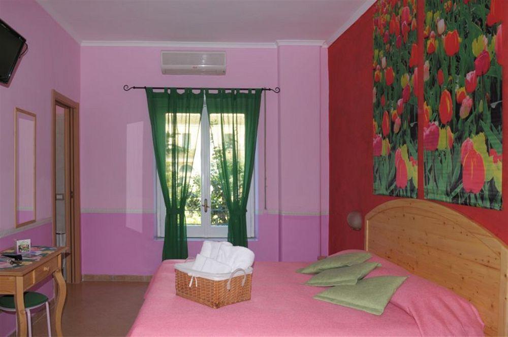 Casa Dominova by null