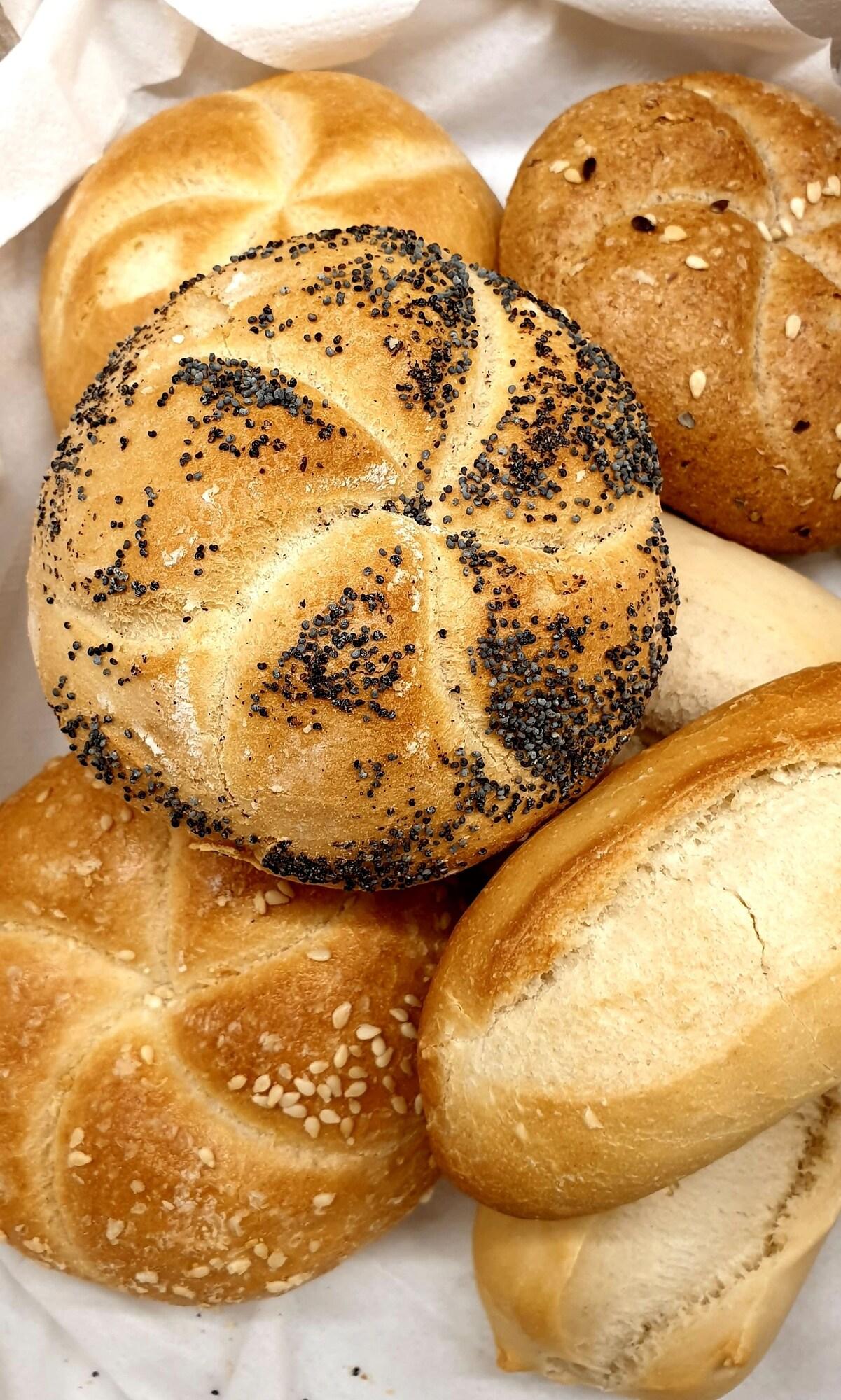 Casa Dominova by null