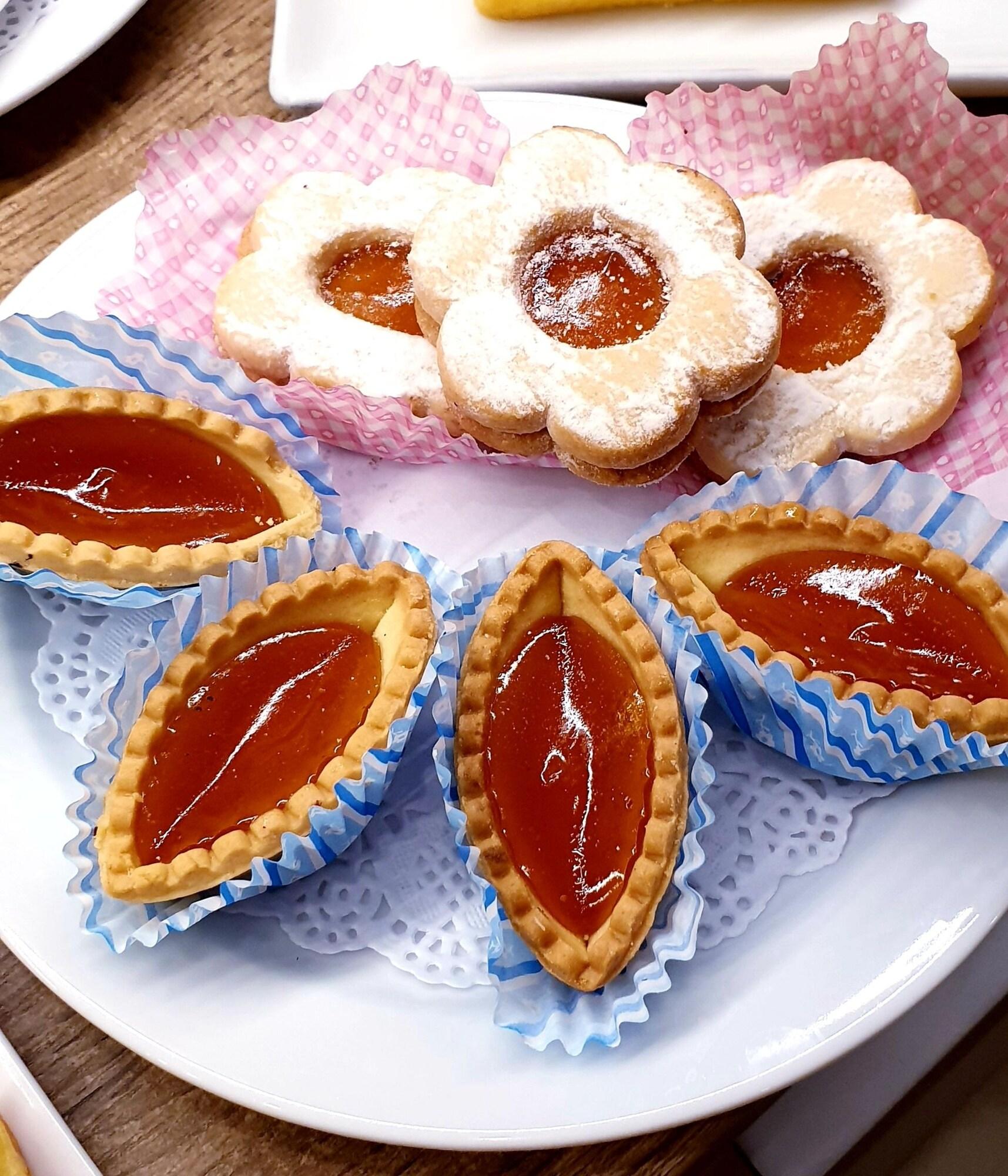 Casa Dominova by null