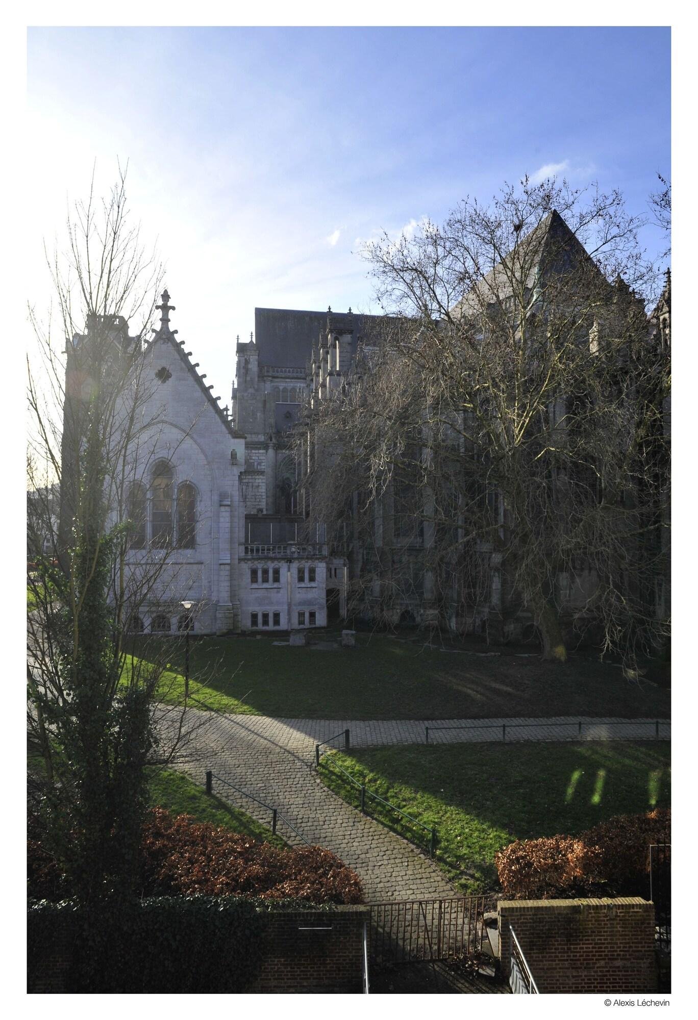 Hôtel de la Treille by null