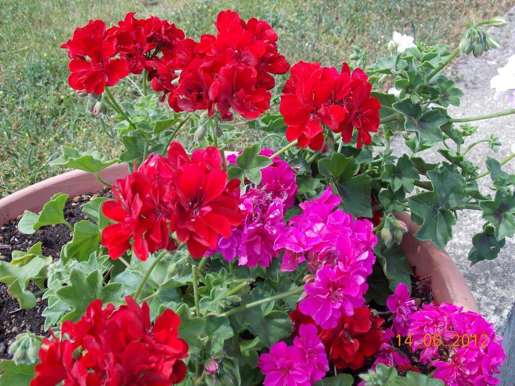 Hotel Panoramic Montepulciano by null