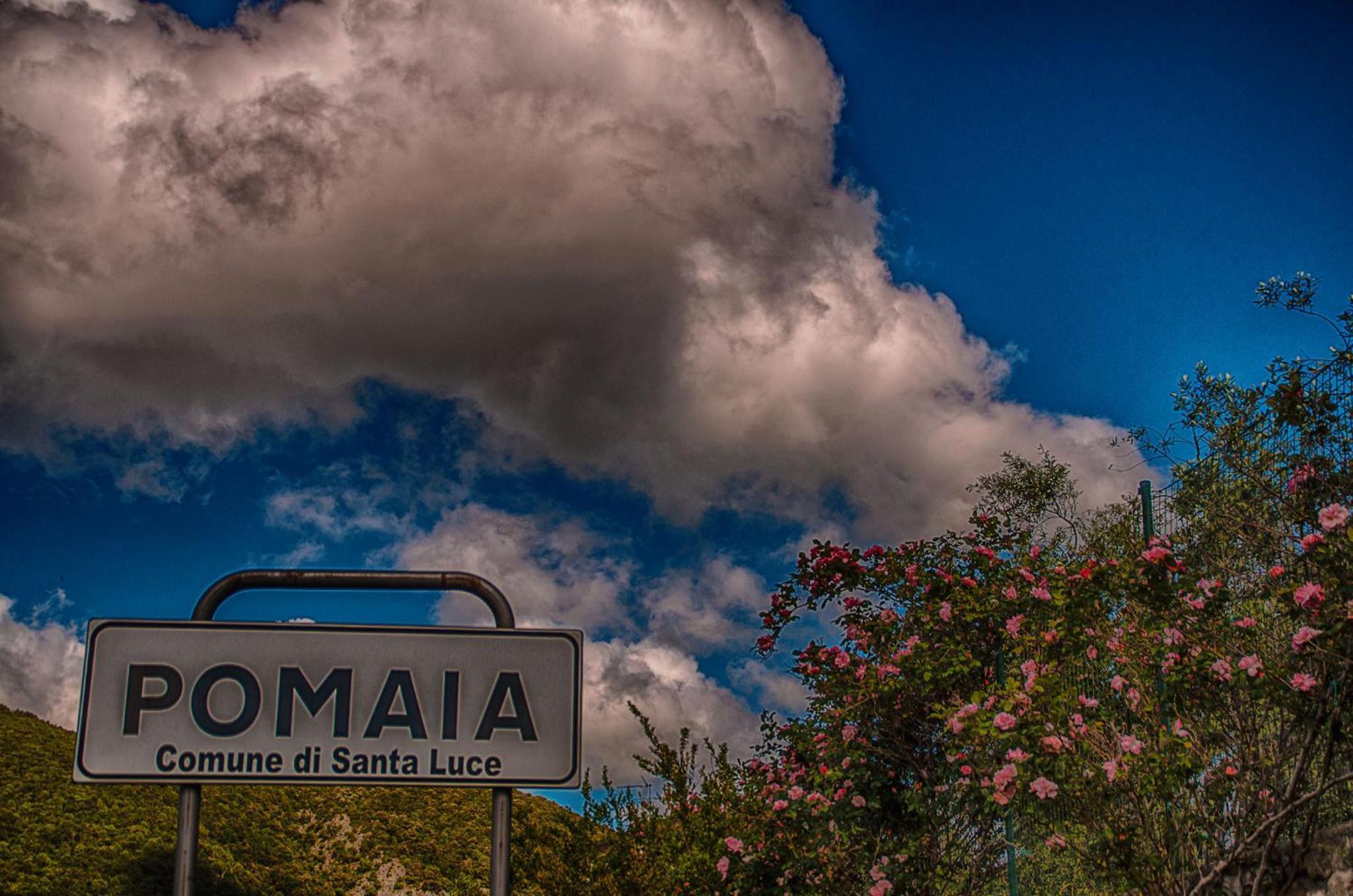 Agriturismo Il Gelso