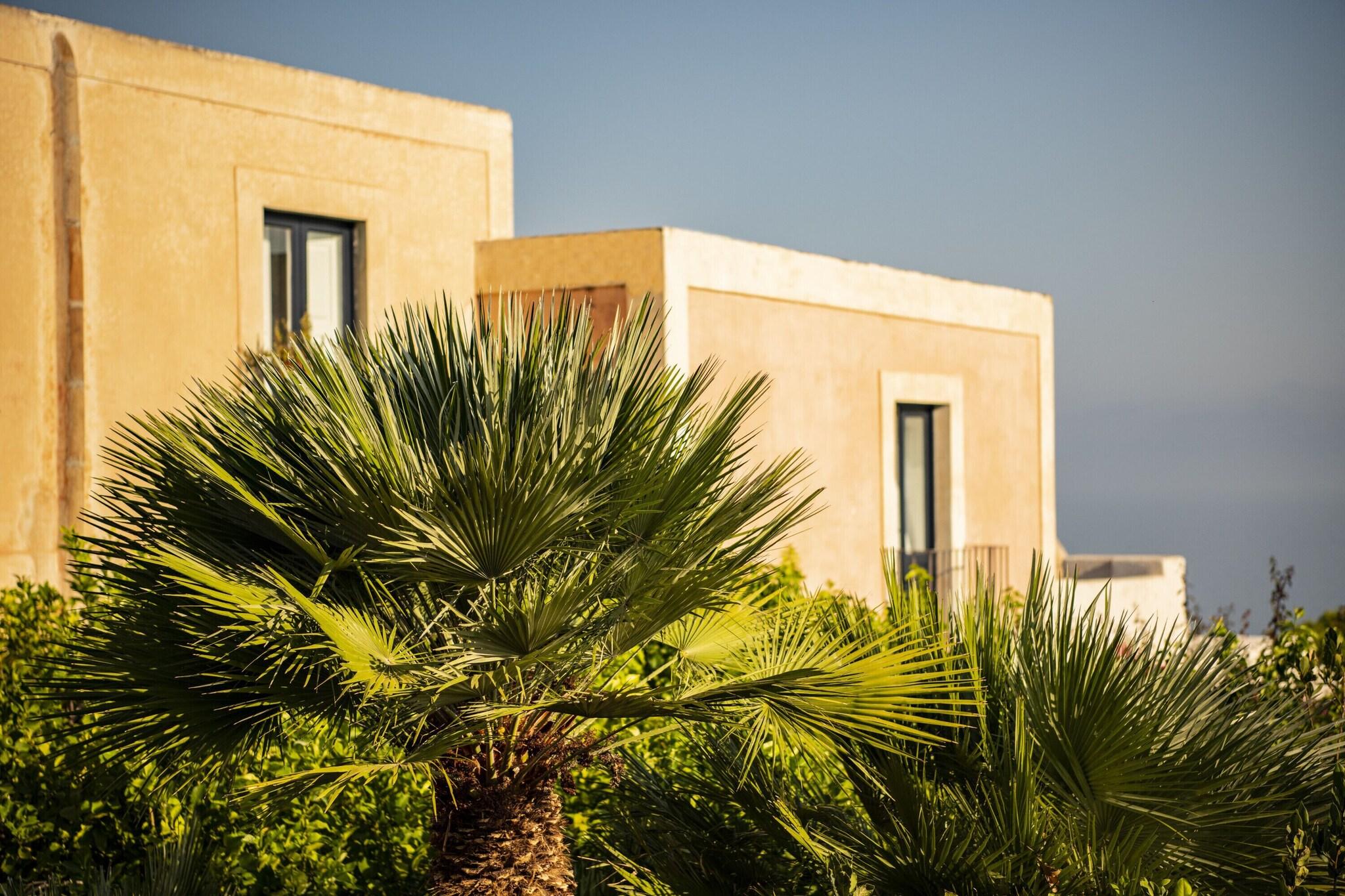 Hotel Signum by null