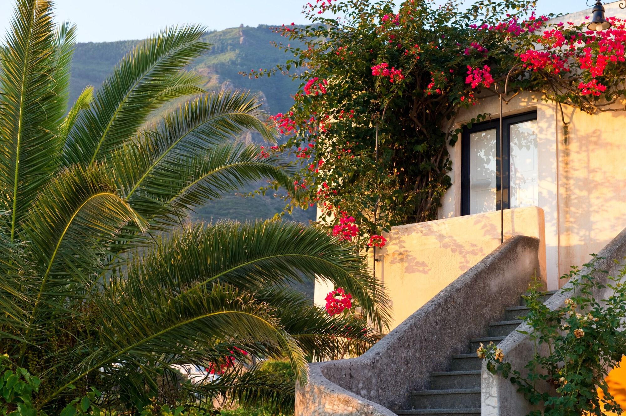 Hotel Signum by null
