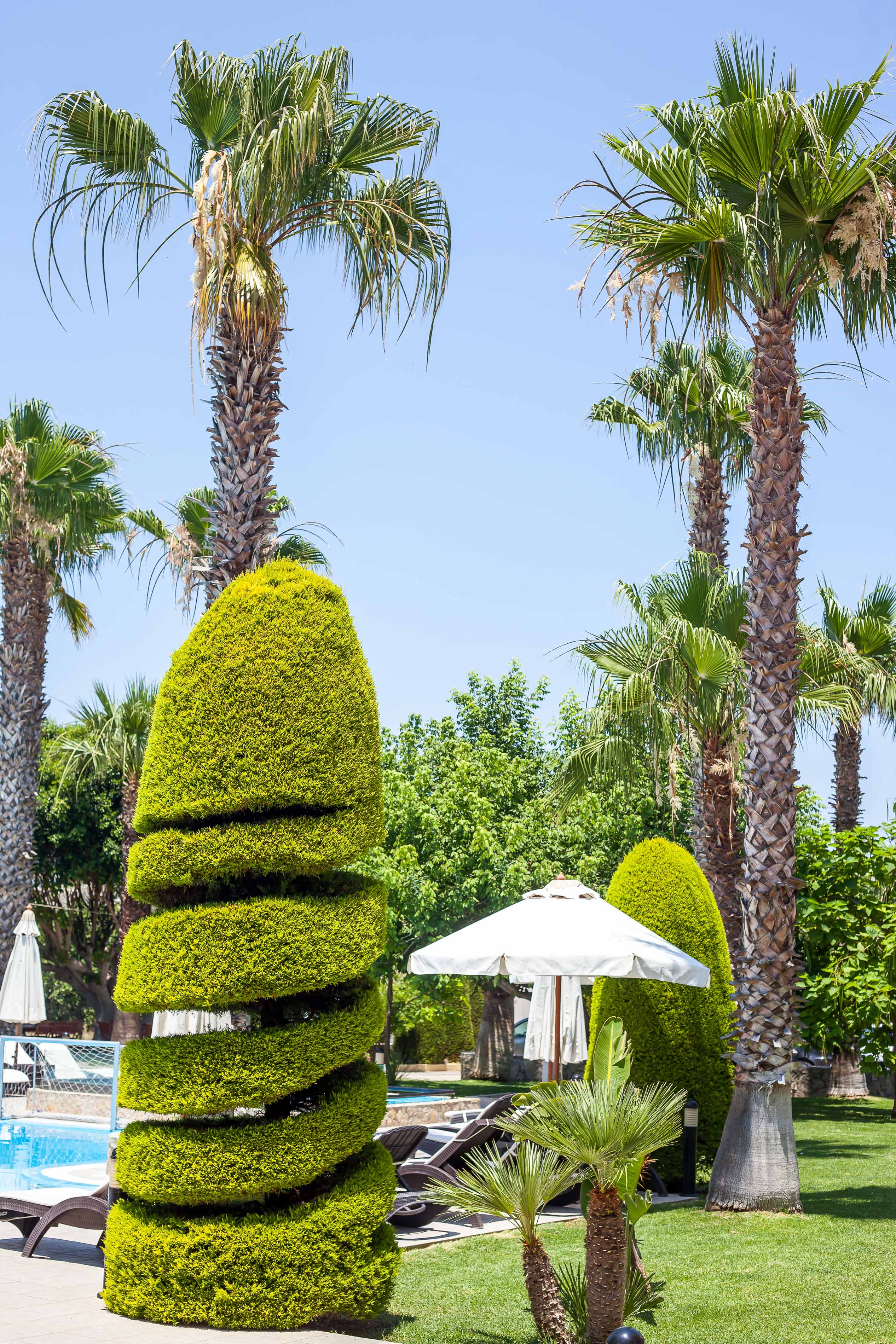 Stavros Melathron - фото