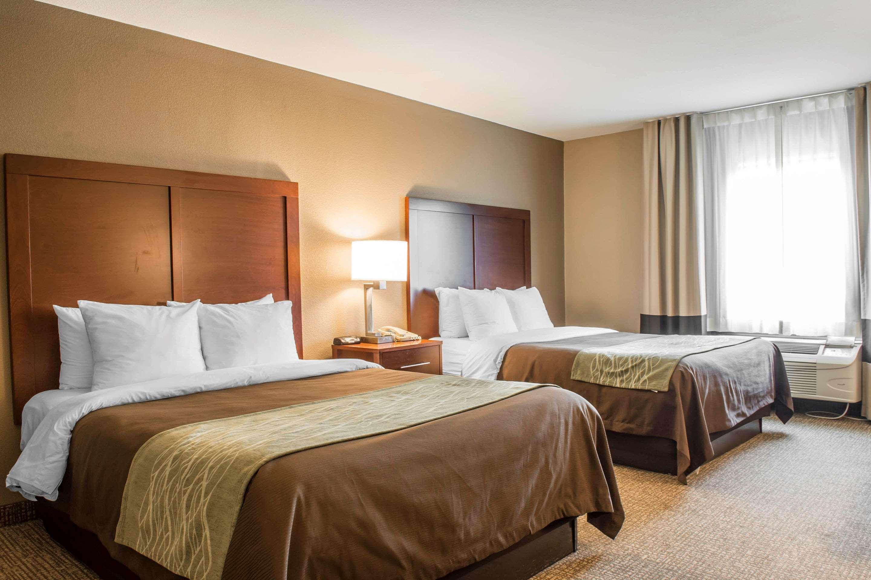 Suite, accessible