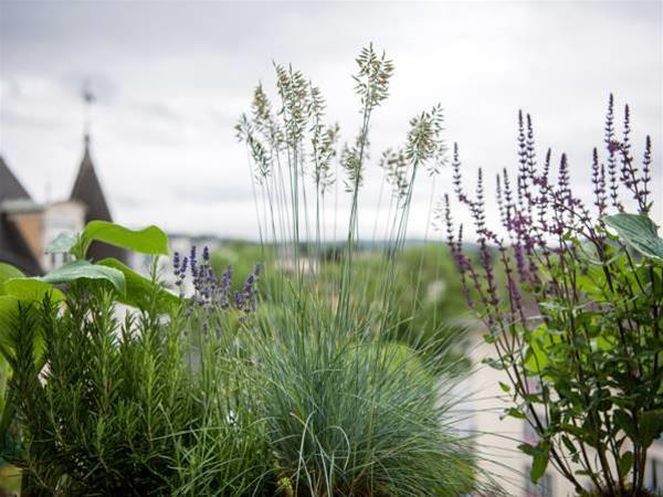 Hotel Hottingen by null