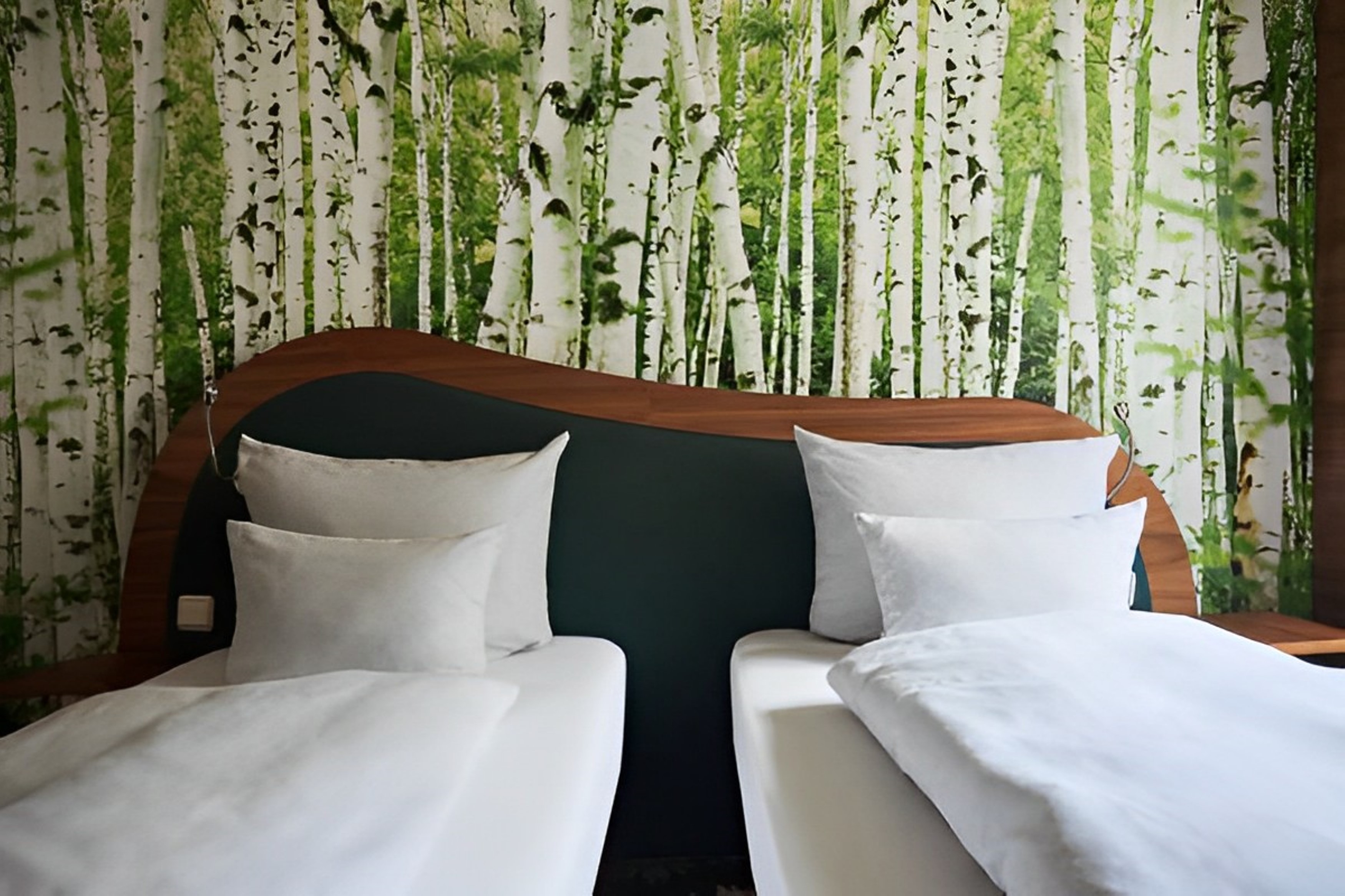 Hotel Cocoon Stachus by null