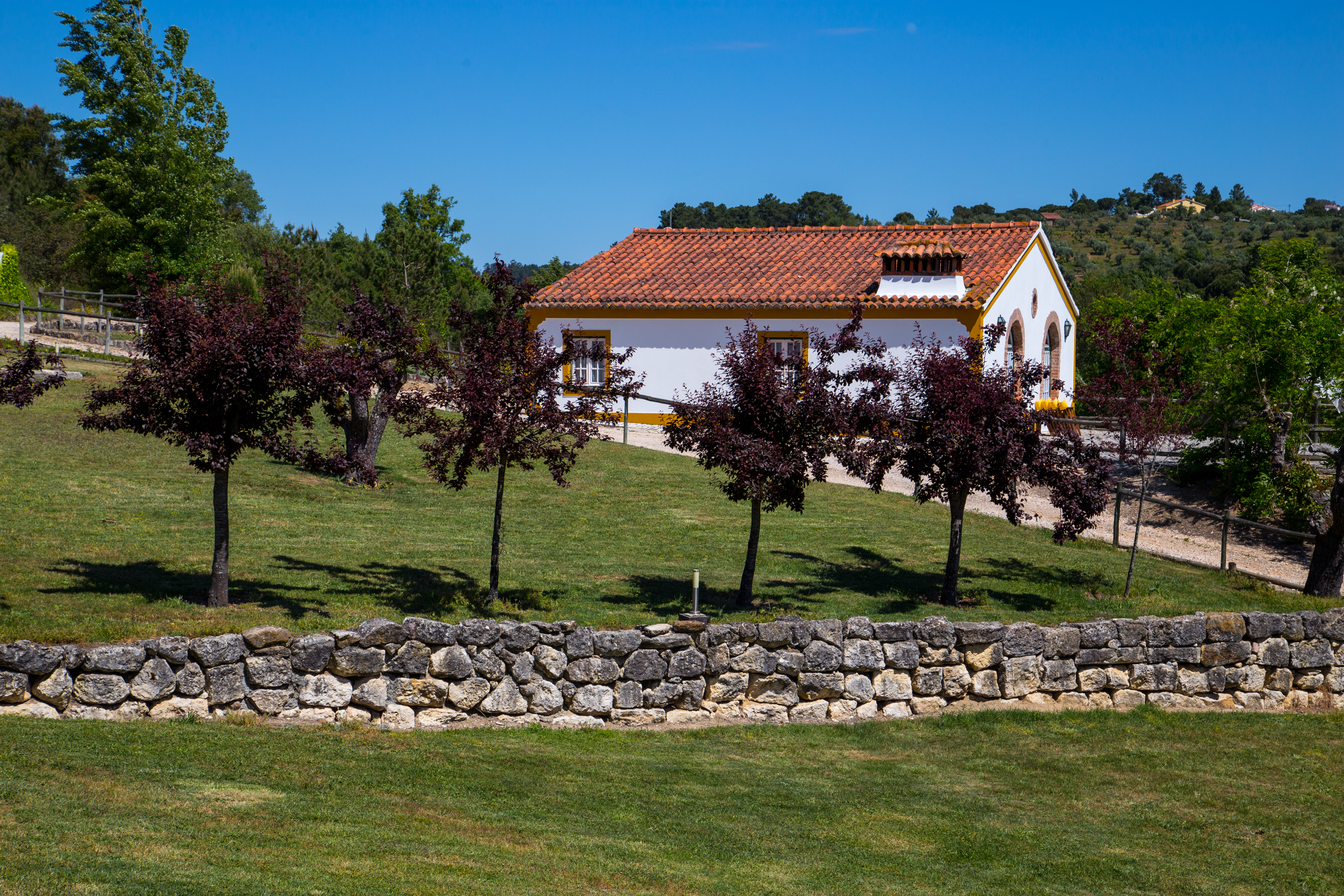 Quinta da Alcaidaria-Mor image