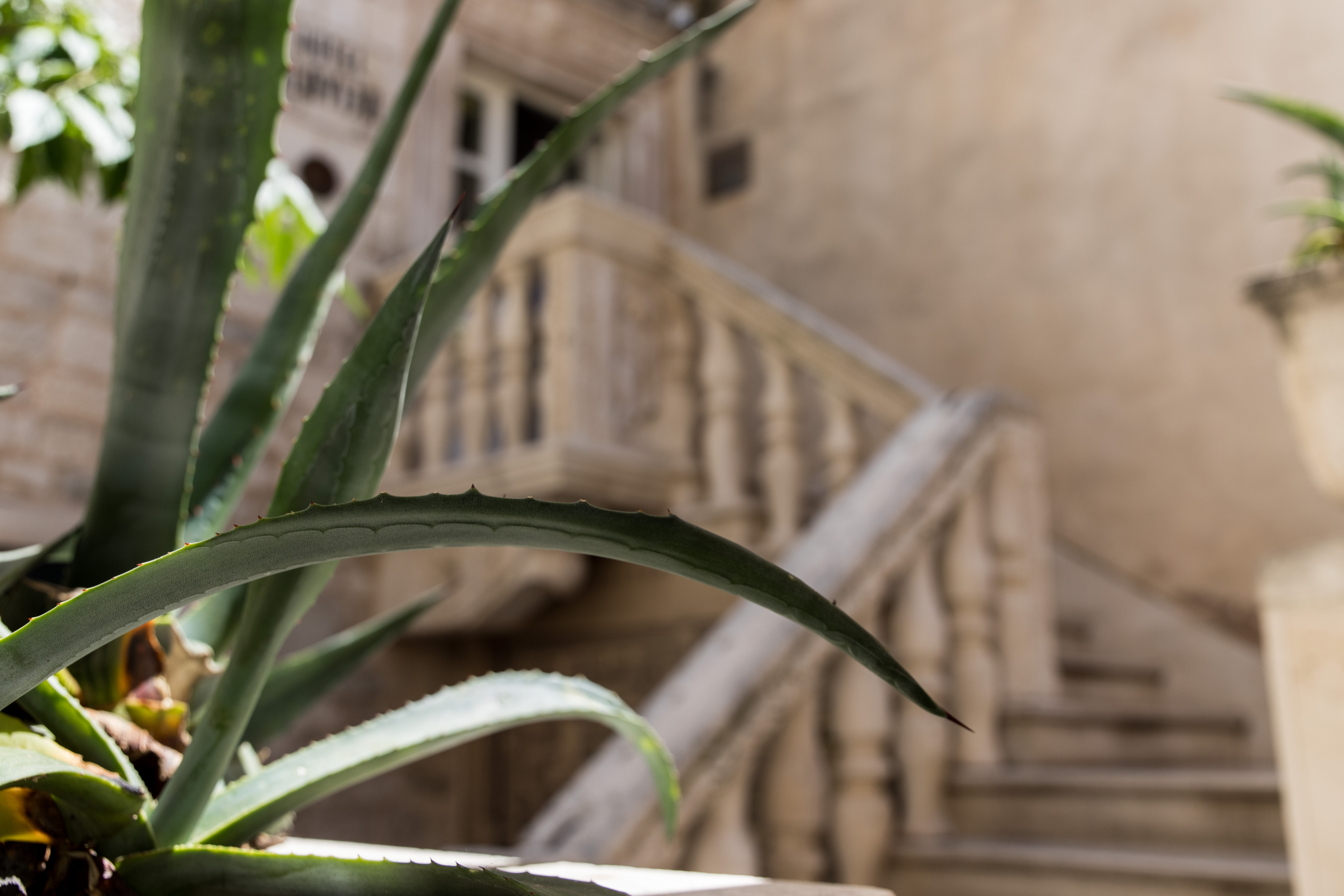 Slavija Culture Heritage Hotel - фото