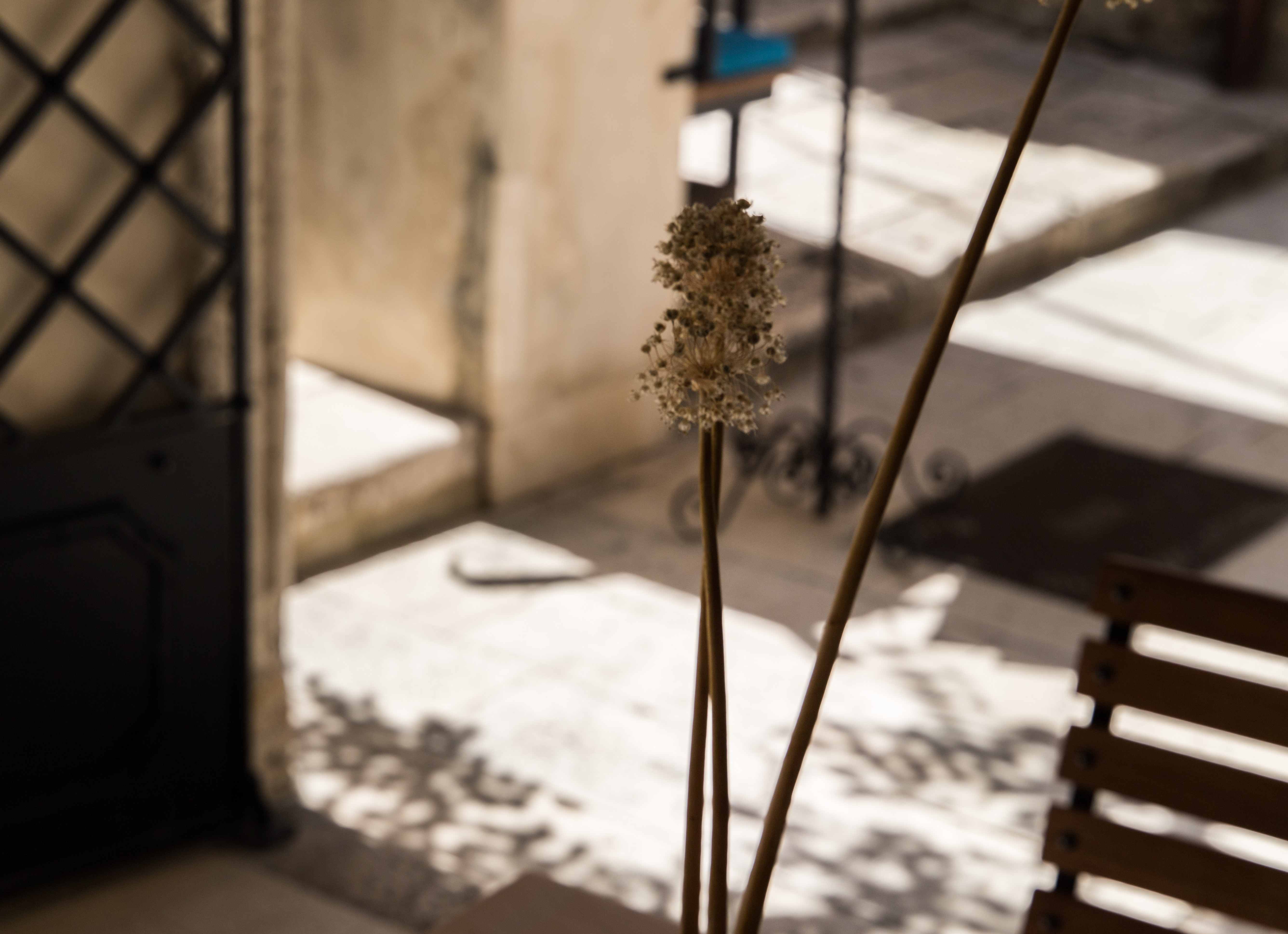 Slavija Culture Heritage Hotel - фото