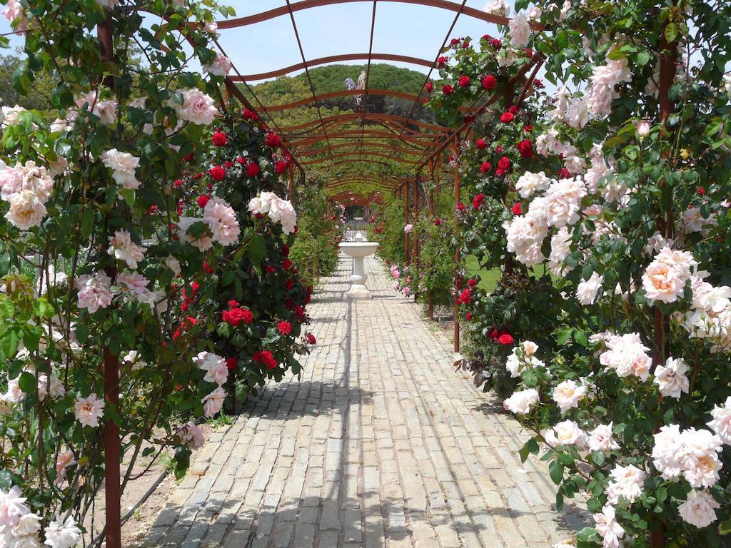 La Bastide du Clos des Roses by null