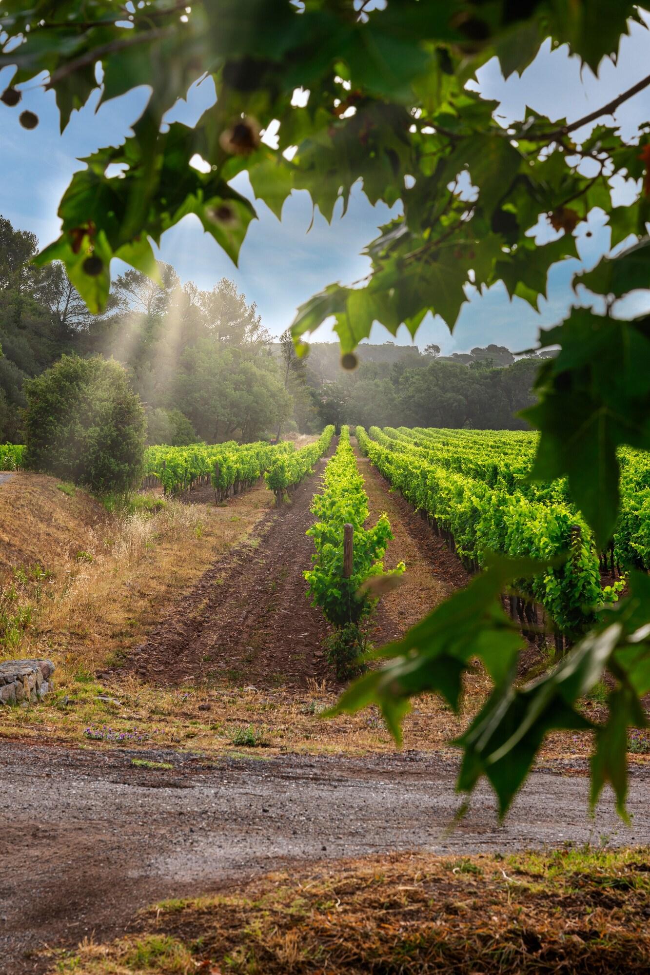 La Bastide du Clos des Roses by null