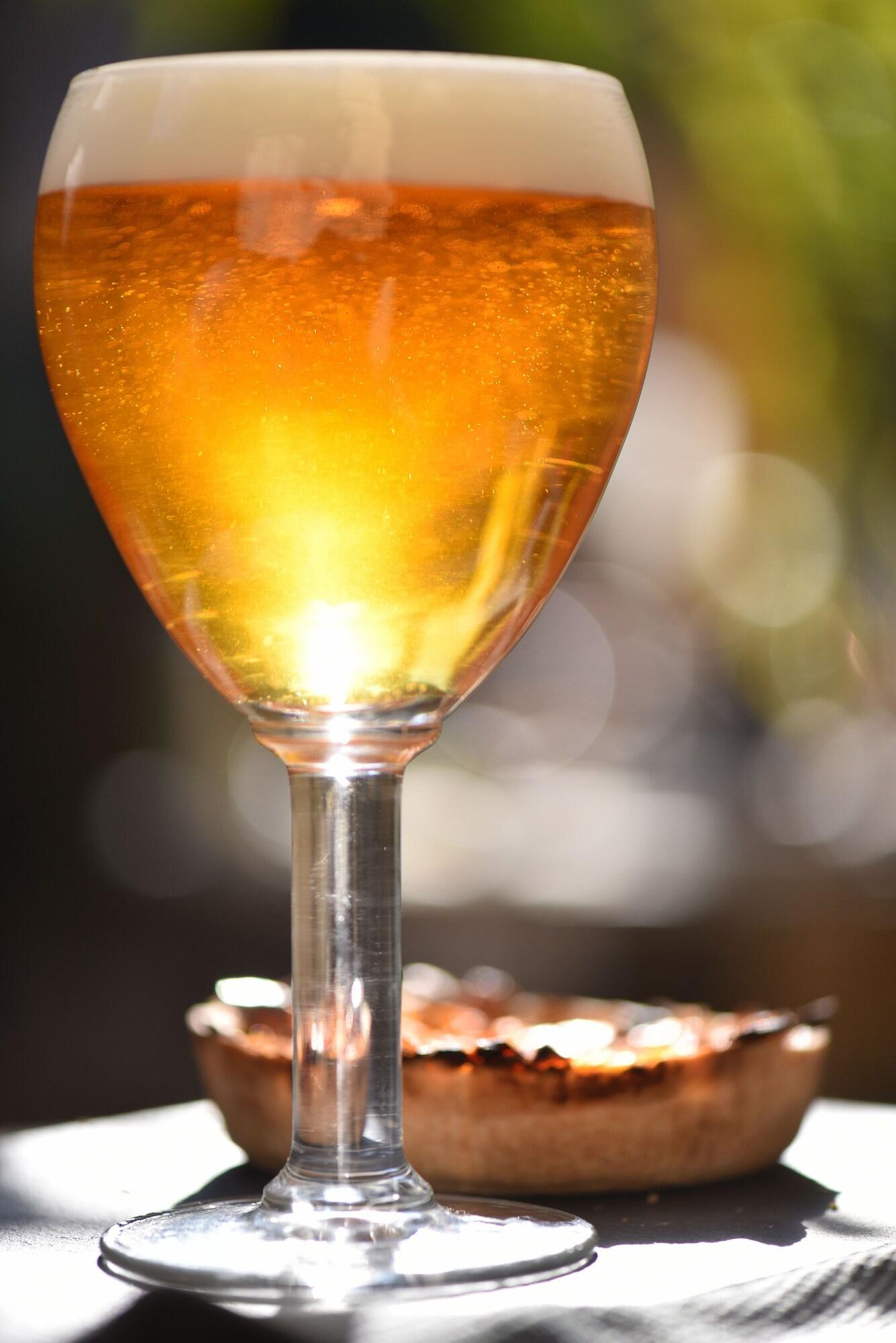 Hôtel Arles - Le Calendal & SPA by null