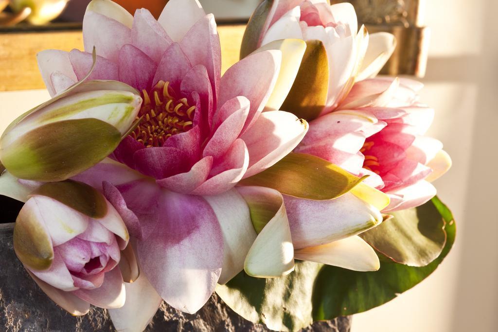 Hôtel Mansart by null