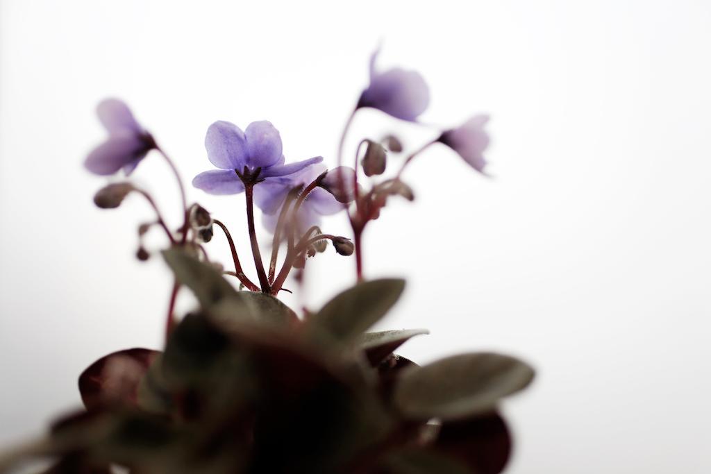 Hôtel La Manufacture by null