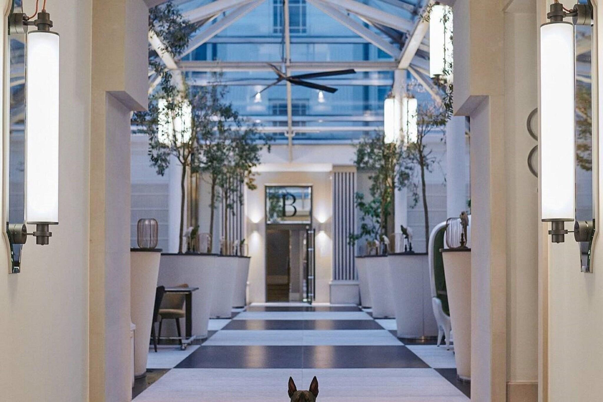 H15 Boutique Hotel by null