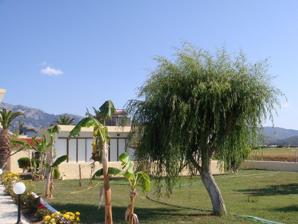 Oasis Apartments