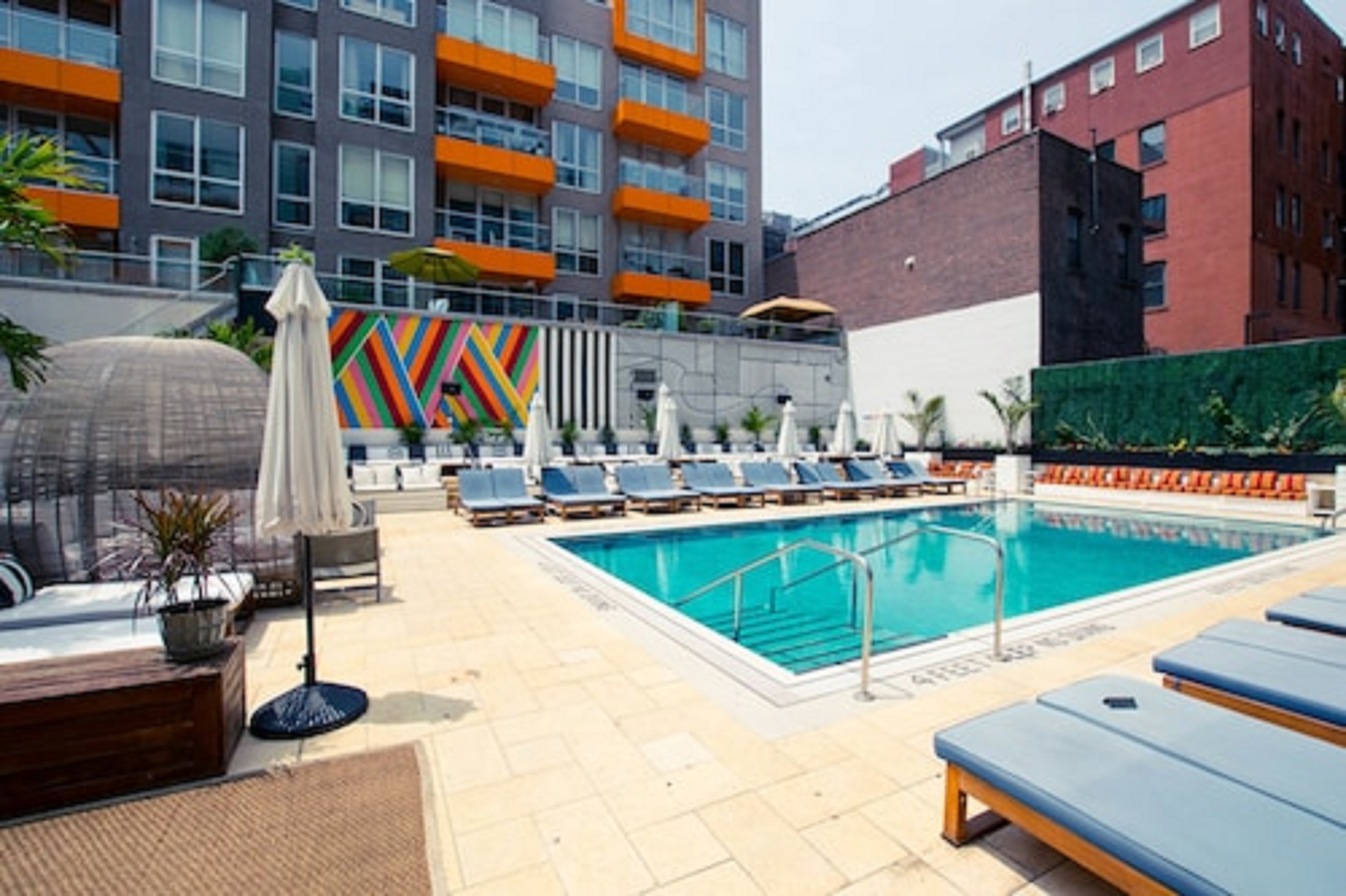 Coda Williamsburg by null