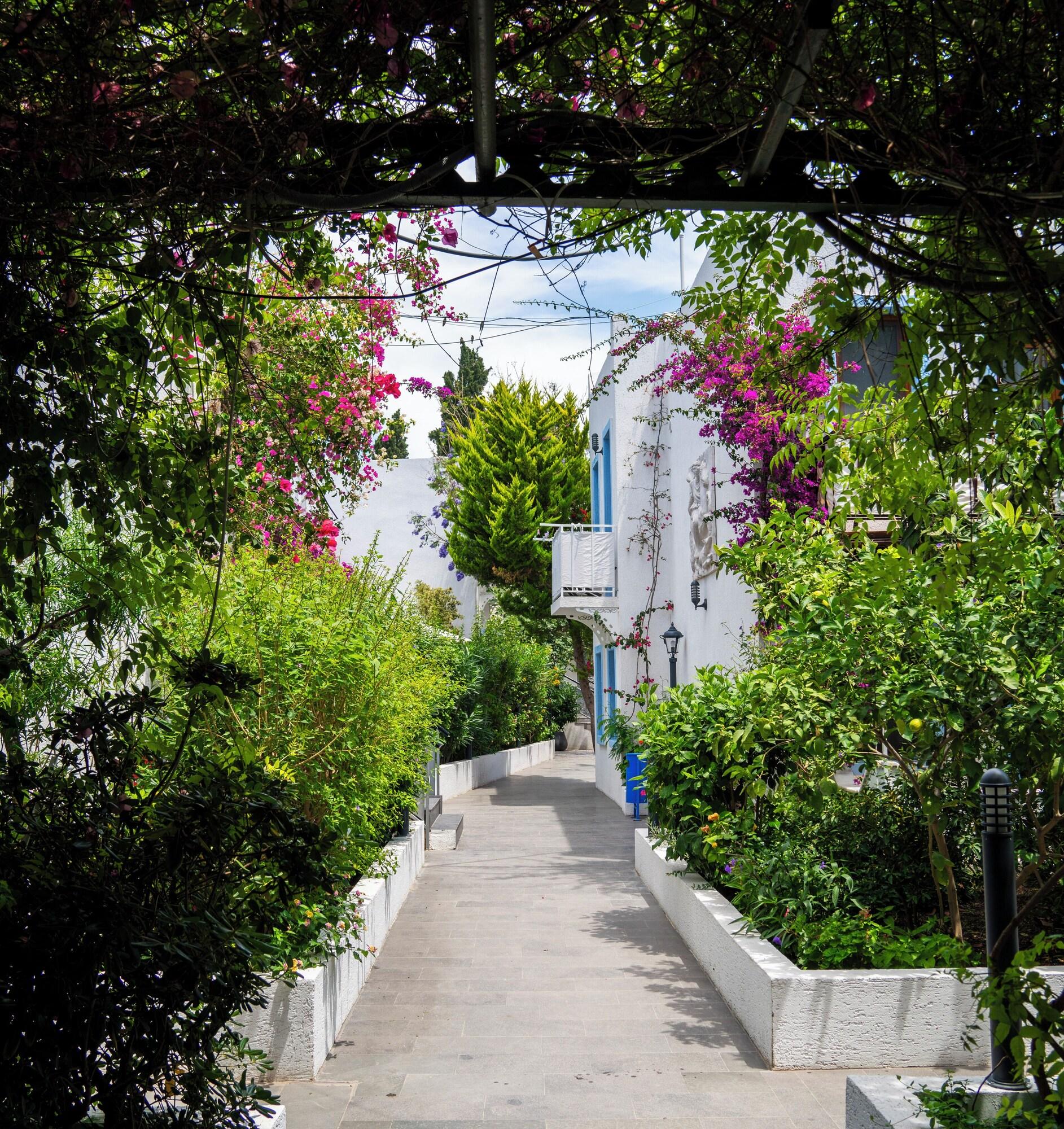 Manuela Hotel - фото