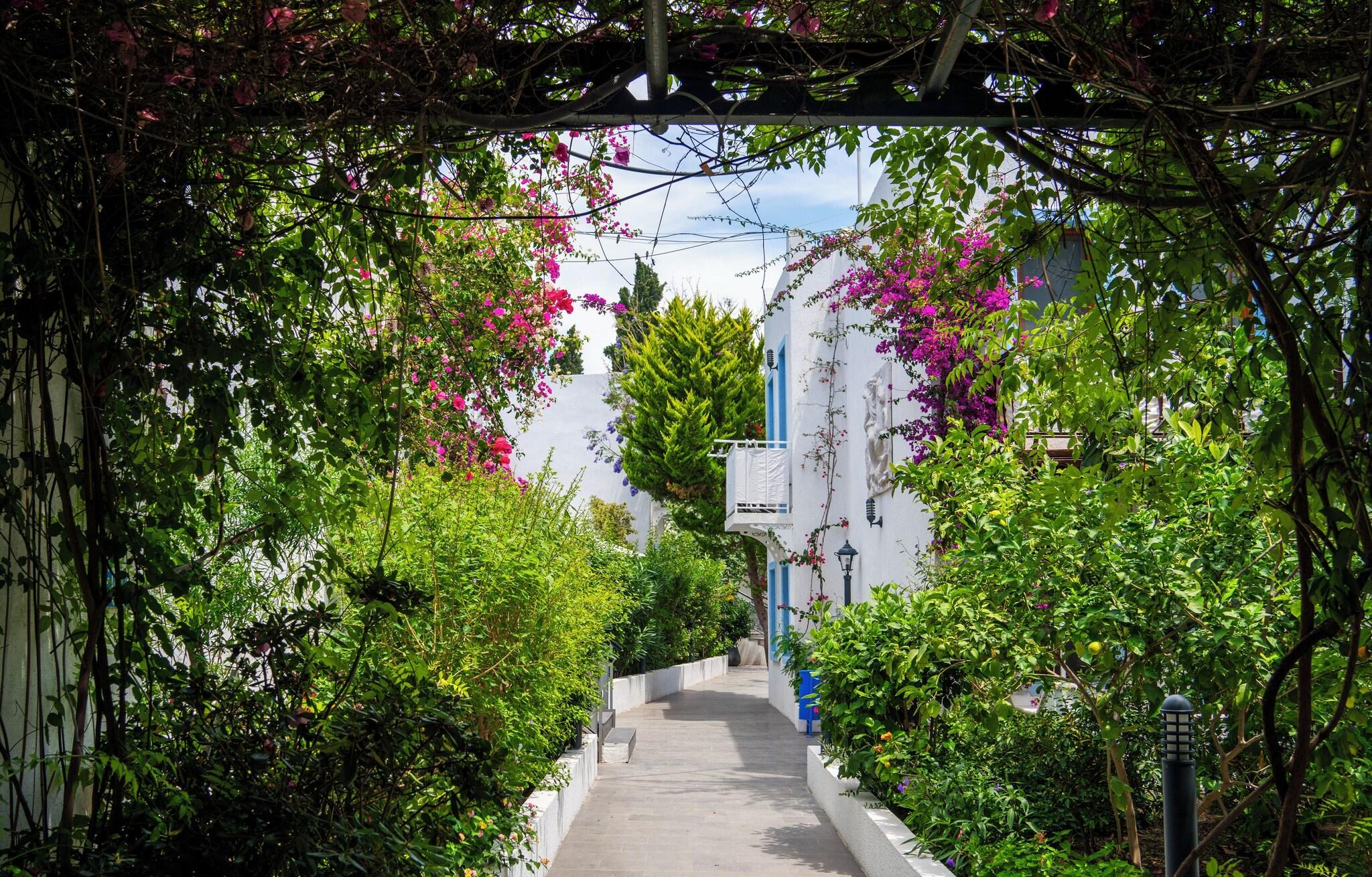 Manuela Hotel - фото