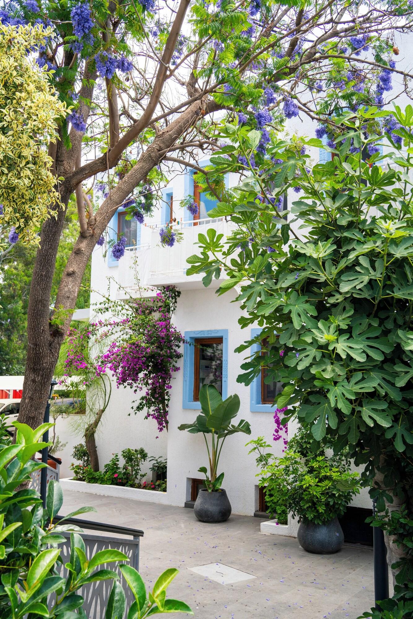 Manuela Hotel - фото