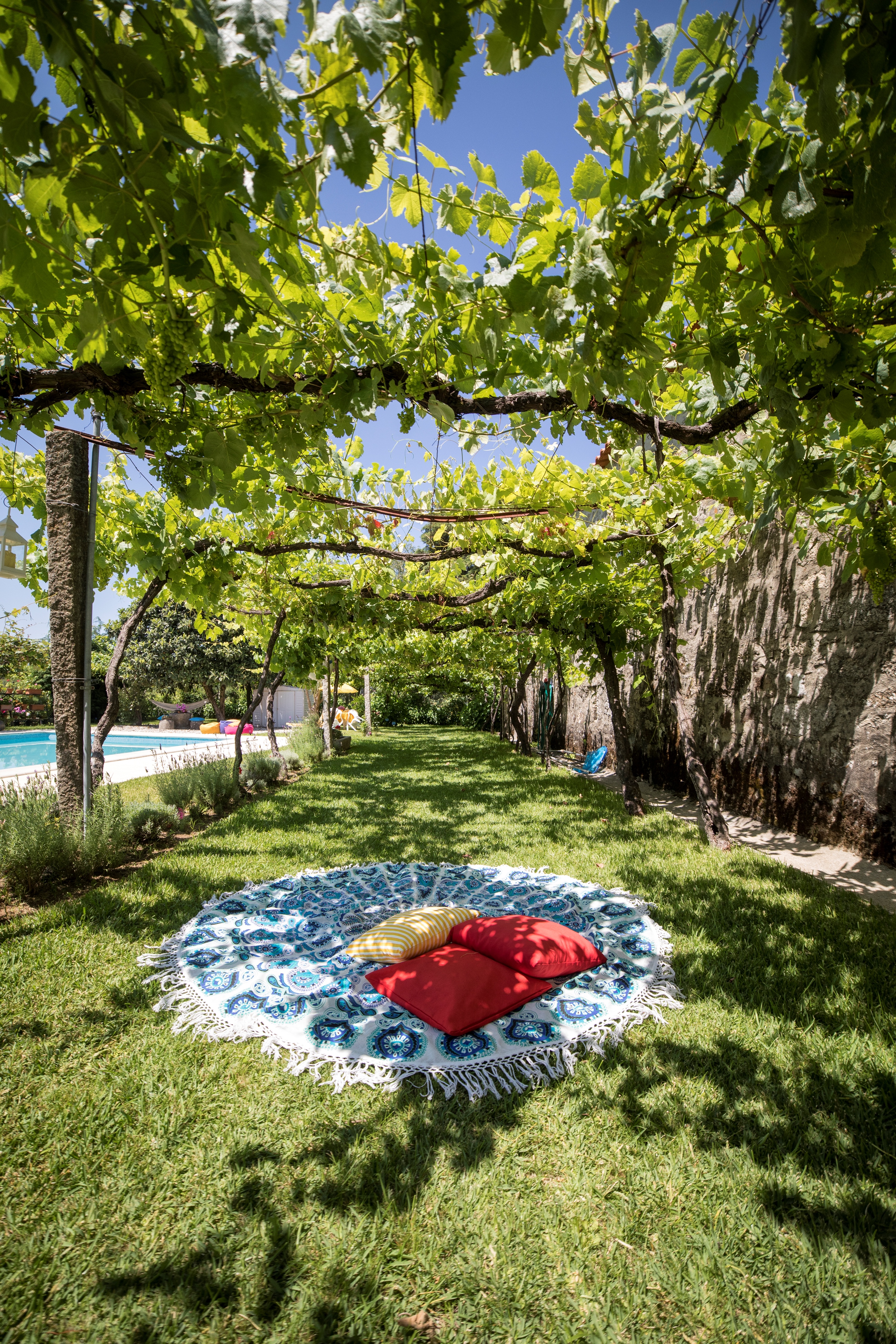 Quinta De Santa Baia