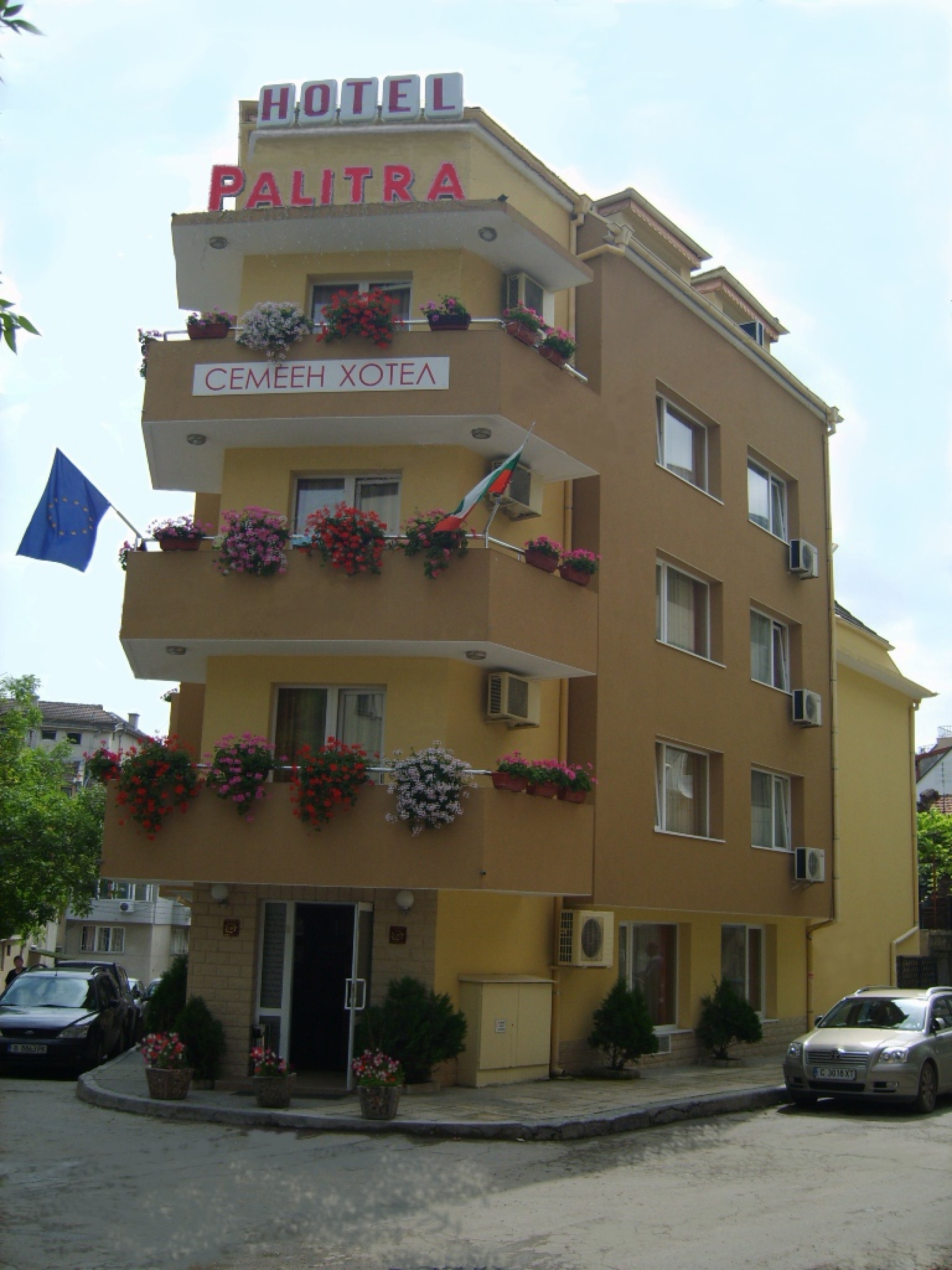 Palitra - photo