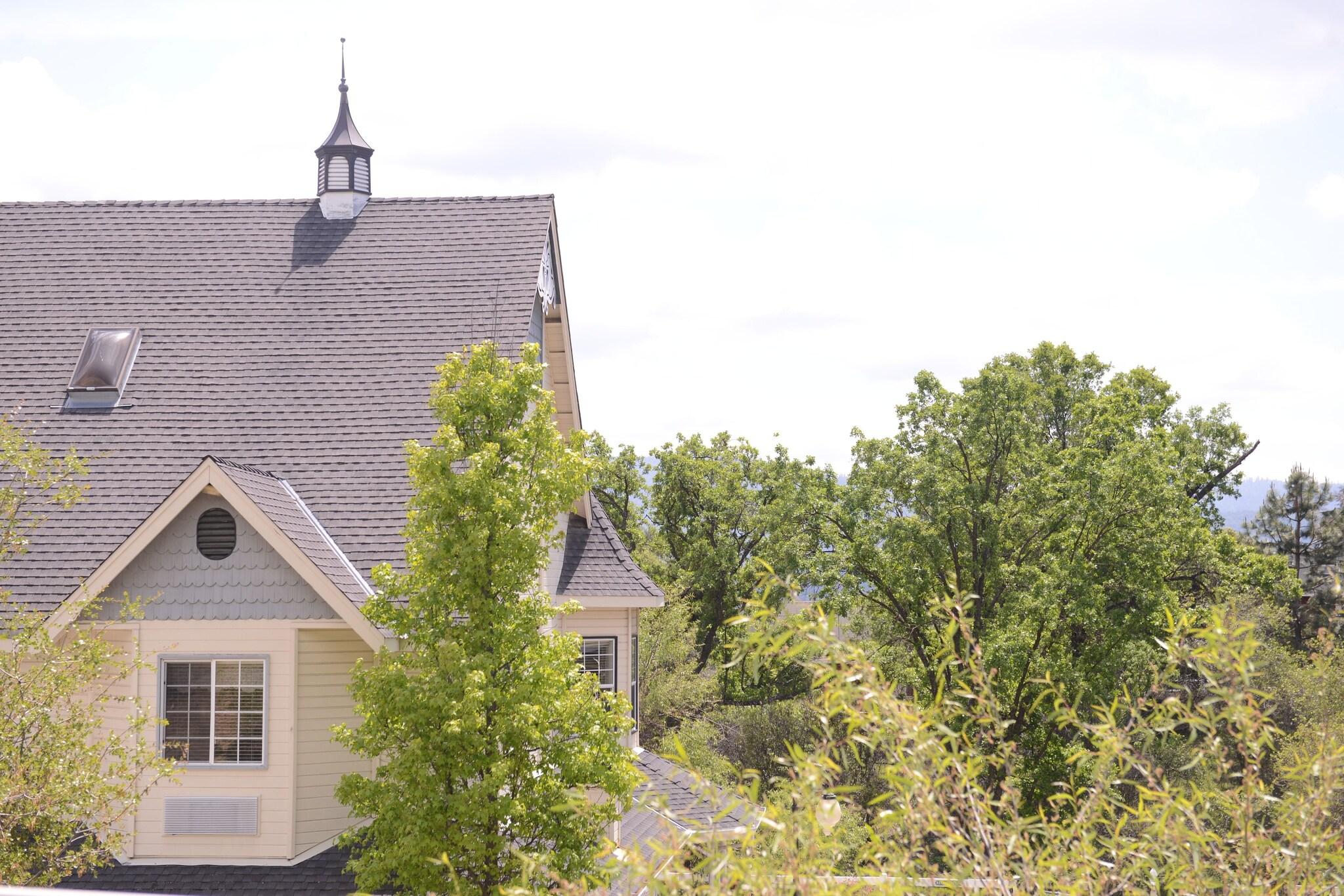 Hounds Tooth Inn by null