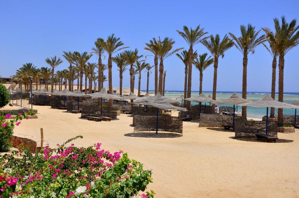 Photo of Elphistone Resort Marsa Alam beach with turquoise pure water surface